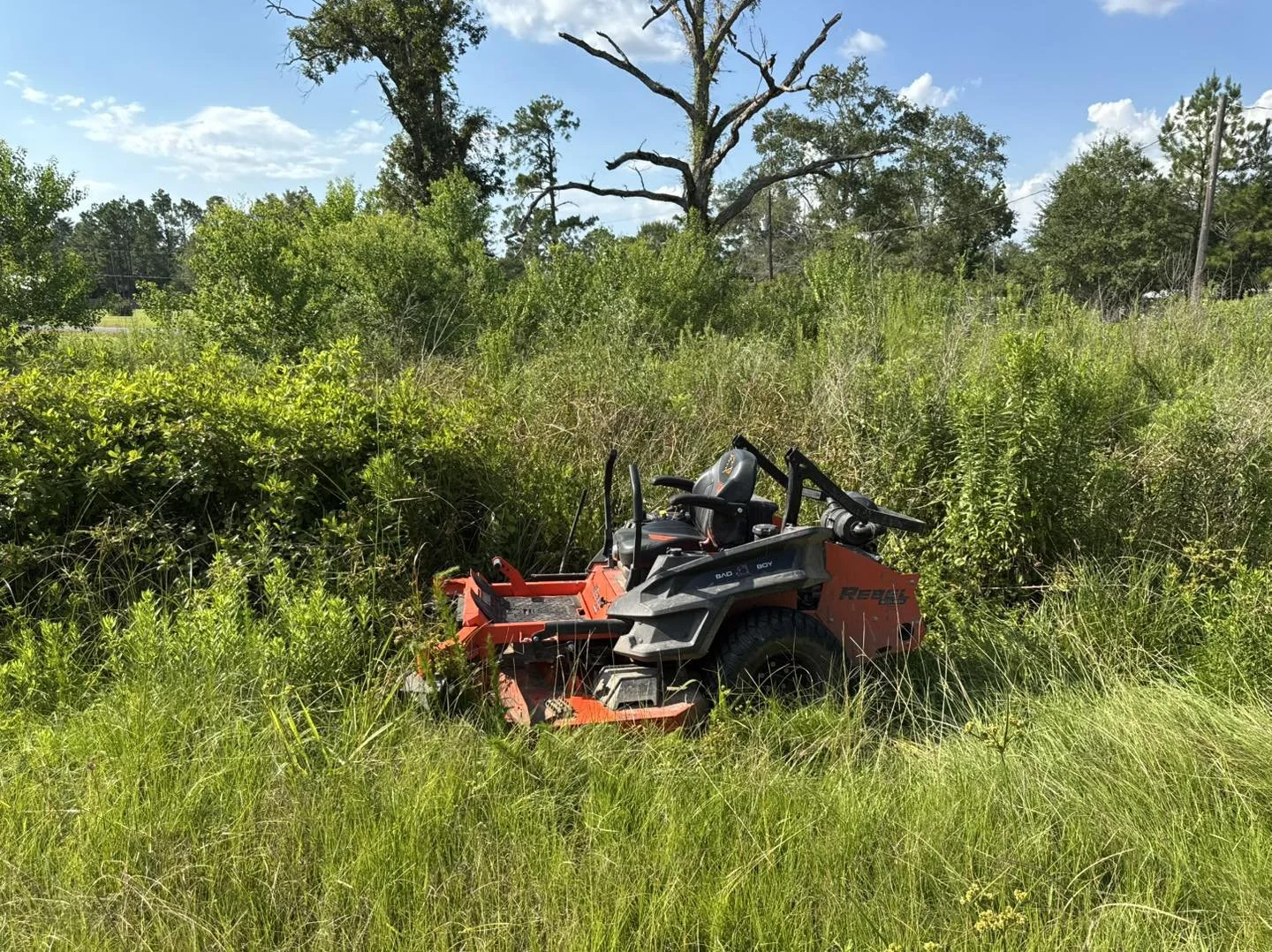 Red and black riding lawn mower stuck in tall grass and overgrown bushes, with trees and a clear blue sky in the background.