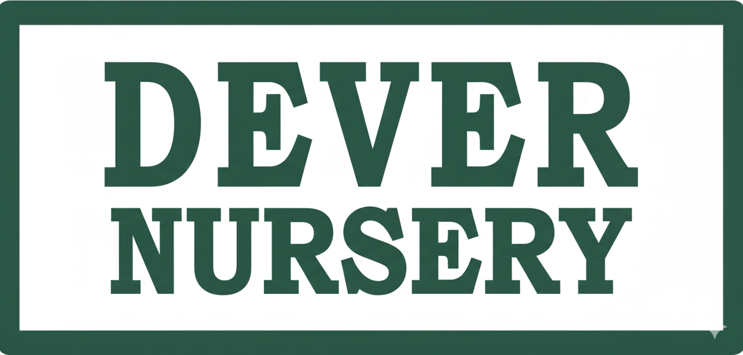 A rectangular sign with a green border and white background displaying the words 'DEVER NURSERY' in large green capital letters.