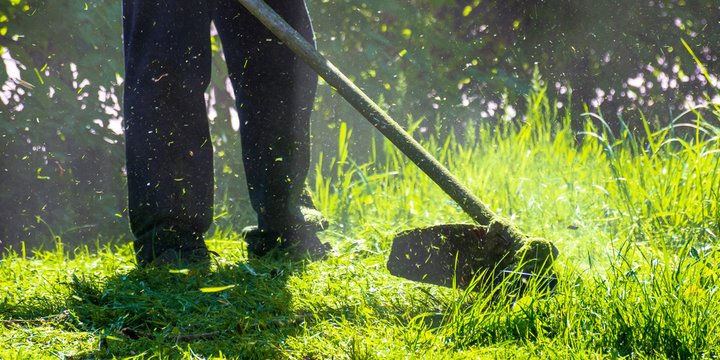 Speer Mowing using a seedeater to cut grass outdoors with sunlight filtering through trees.