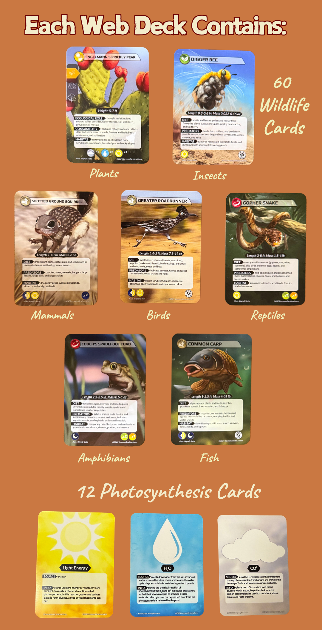What is in a Deck.png