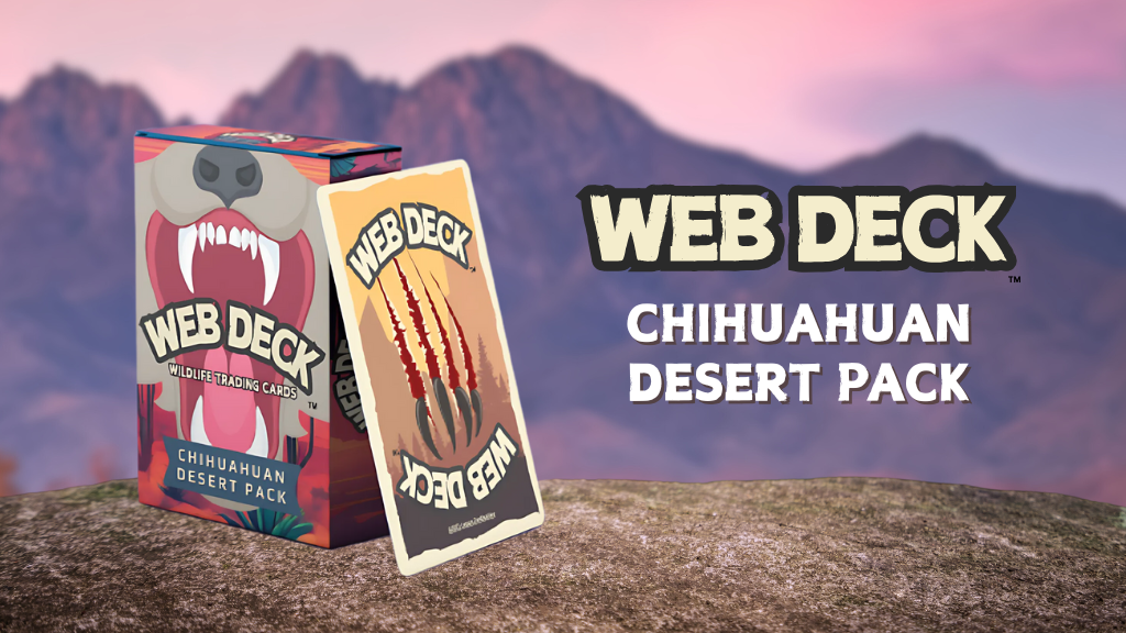 Kickstarter VIP Reservation