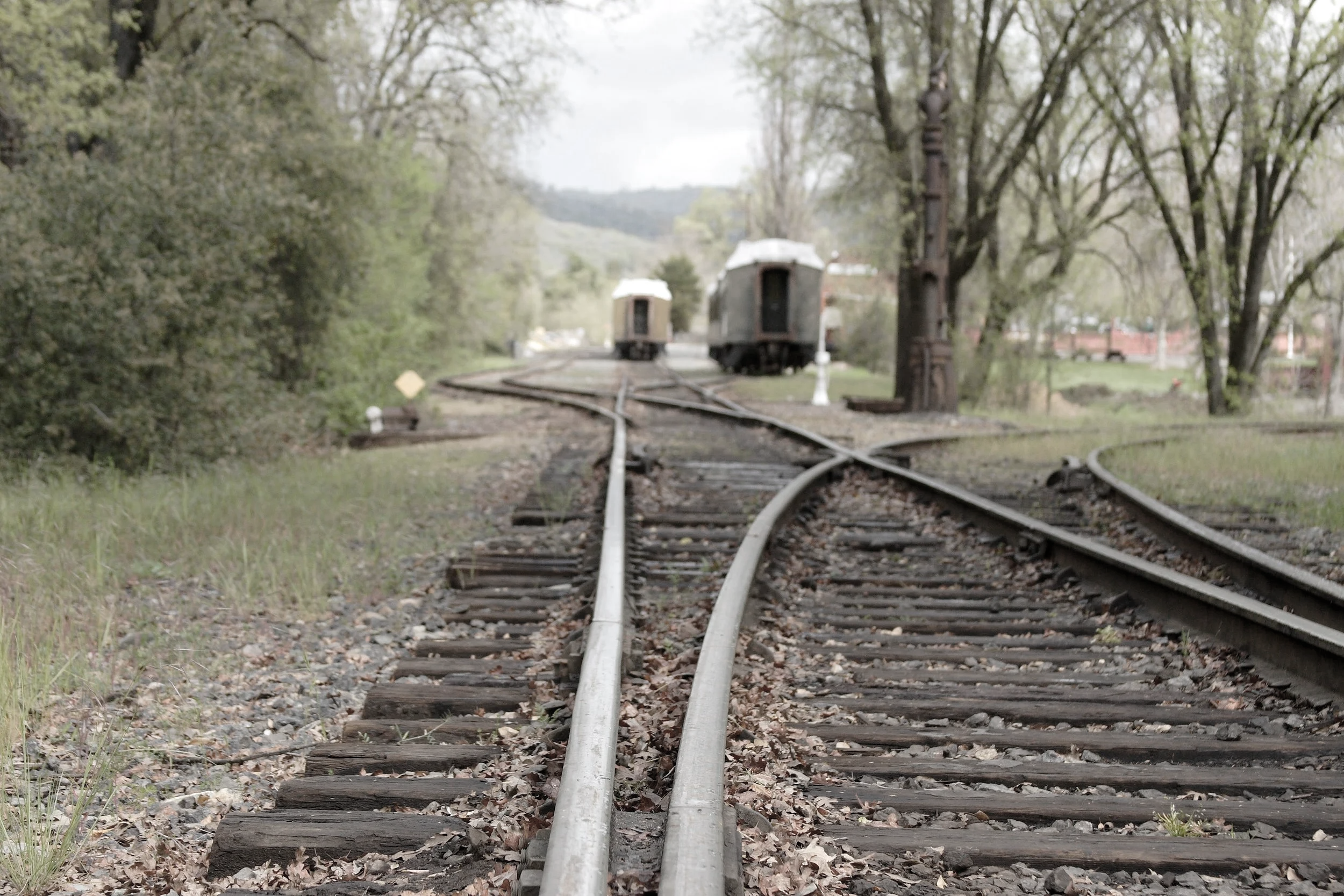 Old railroad tracks with three small trains in the distance, surrounded by trees and greenery.
