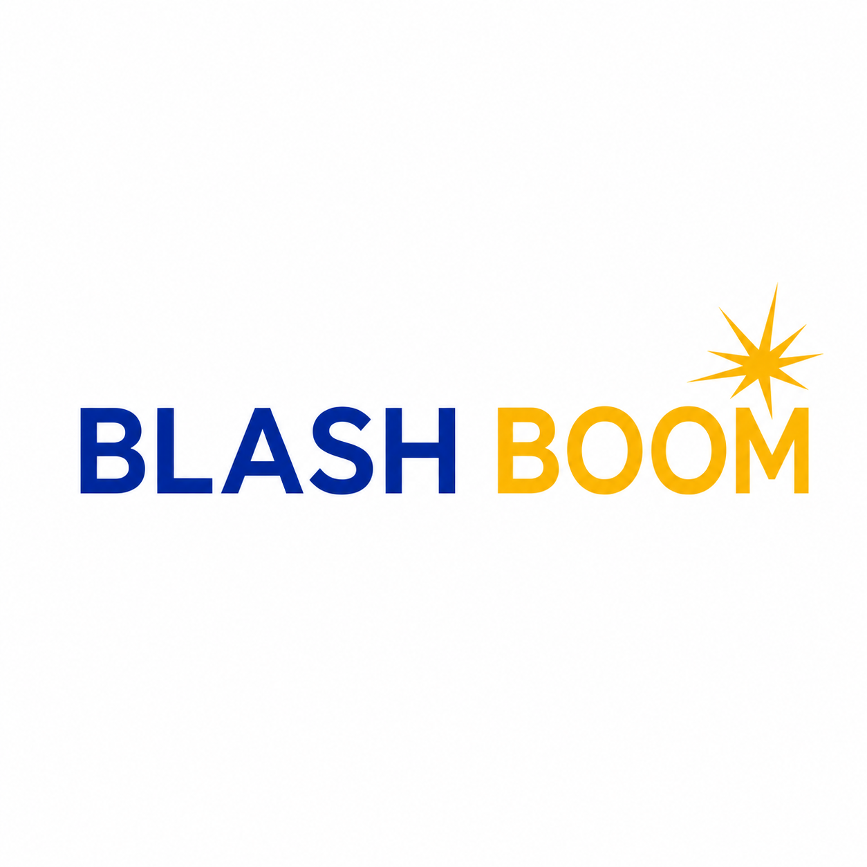 Blash Boom 💥 Pashmina Schals aus Kashmir