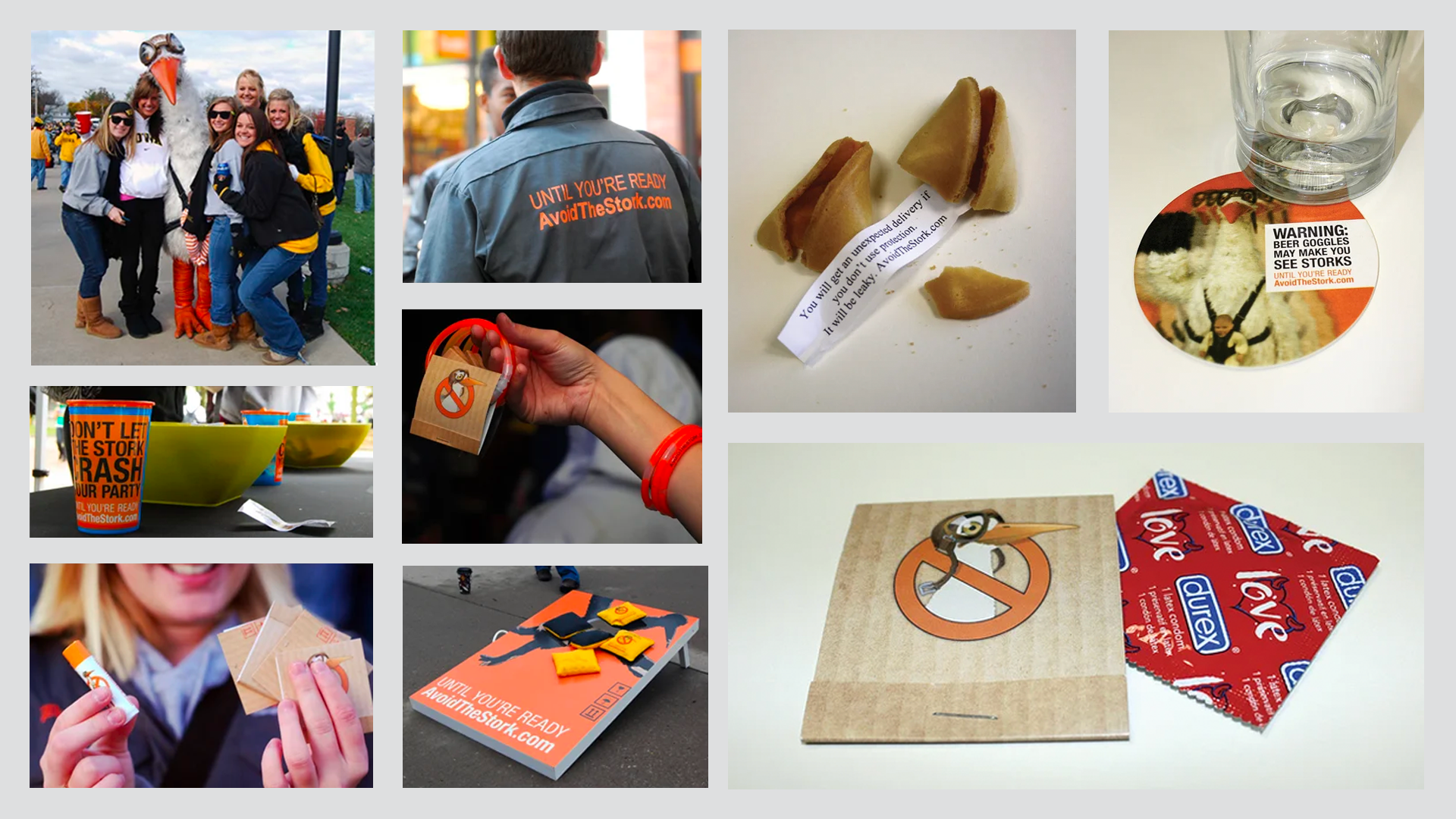 avoid the stork images.png