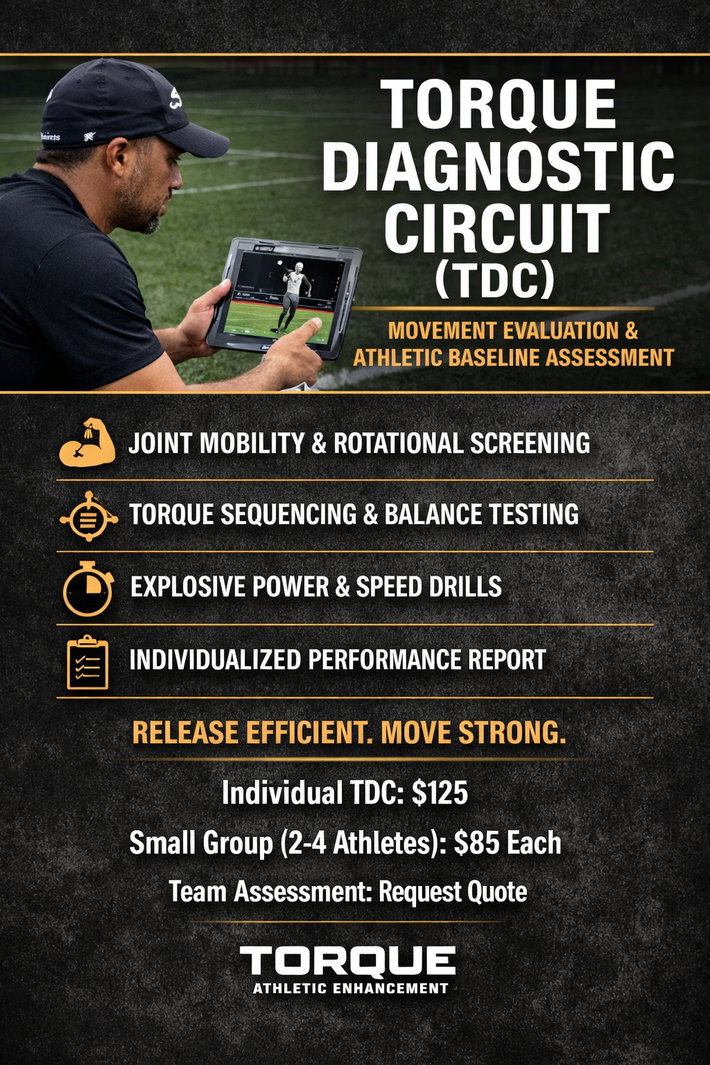 Torque Diagnostic Circuit (TDC)