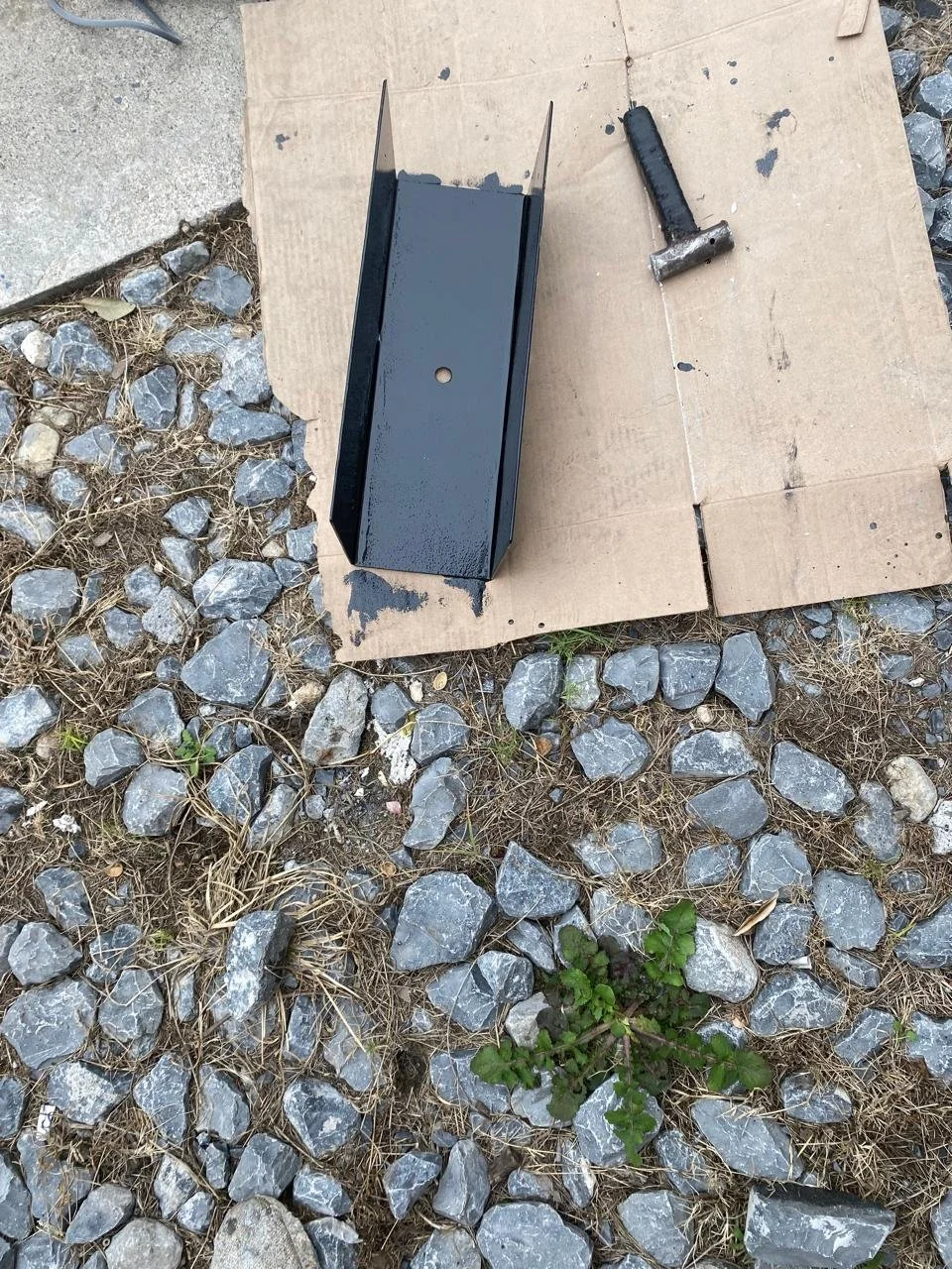 WhatsApp Image 2026-01-24 at 12.49.08.jpeg