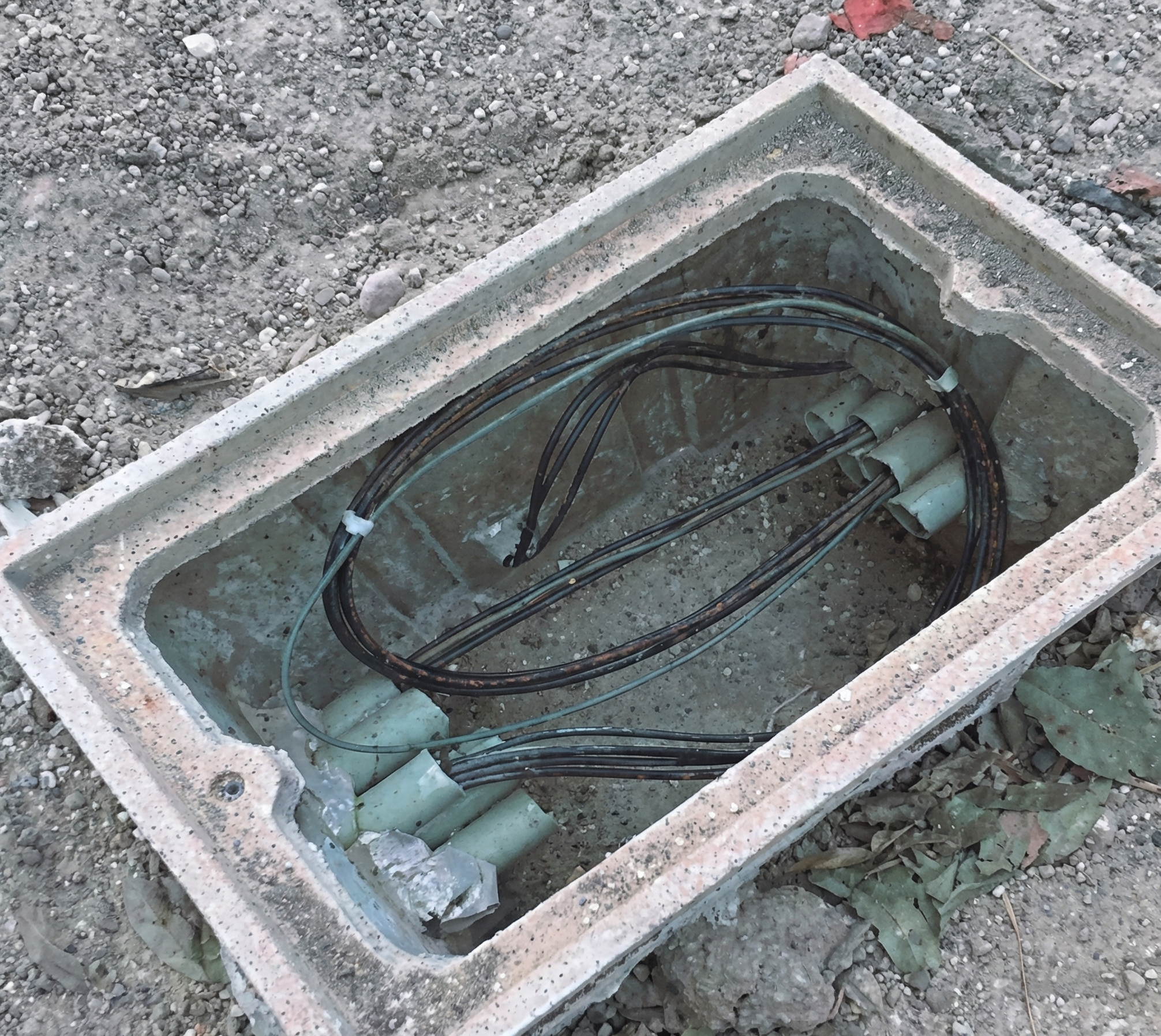 northstone electrico 4.png