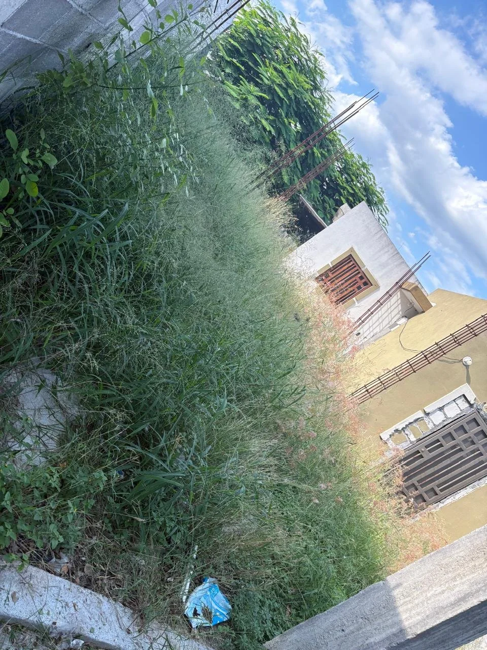 WhatsApp Image 2026-03-11 at 11.20.25 (6).jpeg