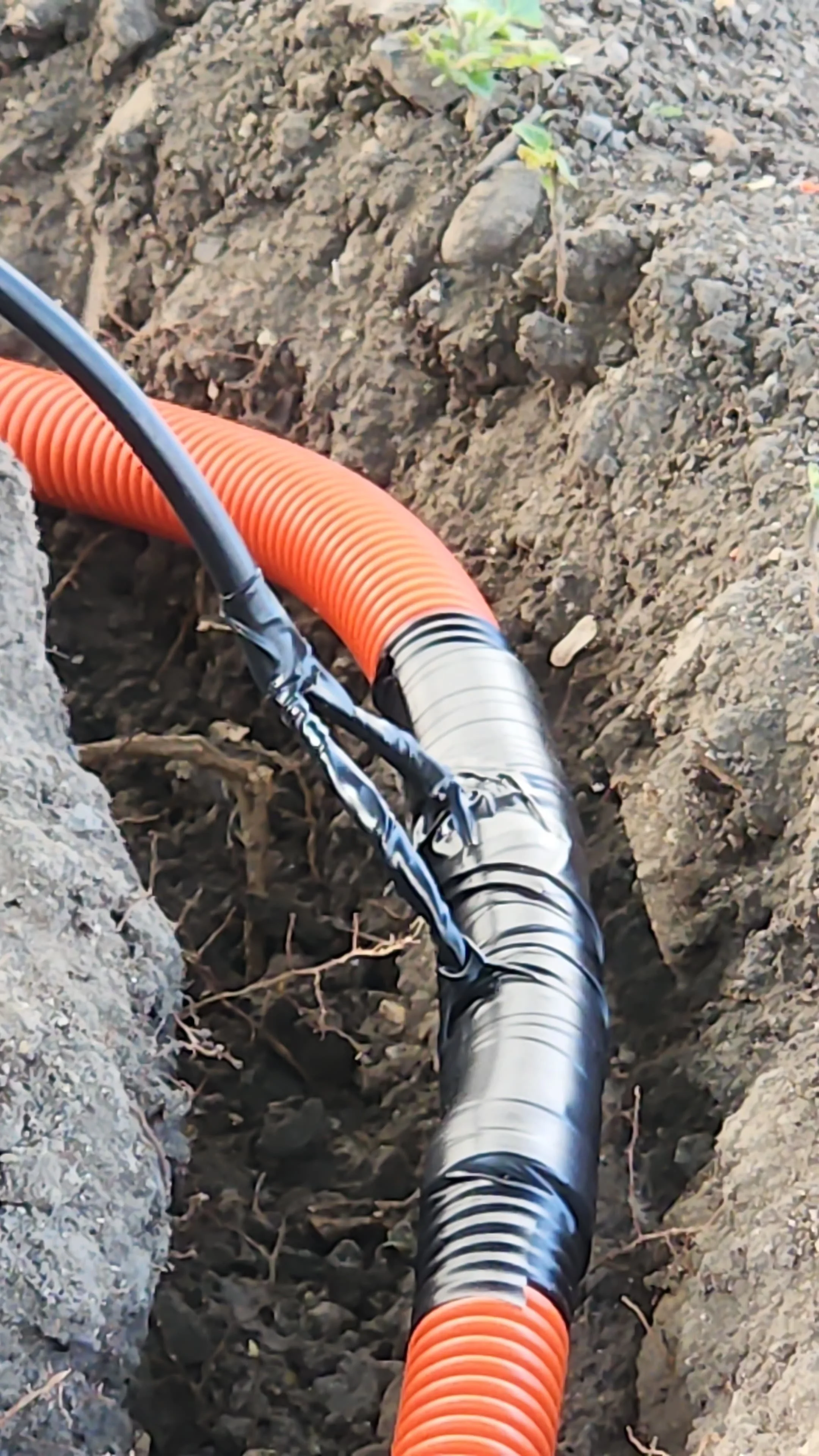 WhatsApp Image 2025-12-29 at 09.46.10 (1).jpeg