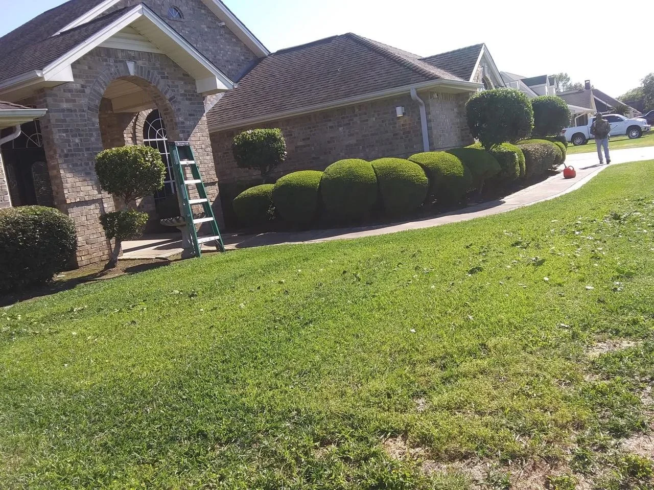 WhatsApp Image 2026-03-11 at 11.21.39.jpeg