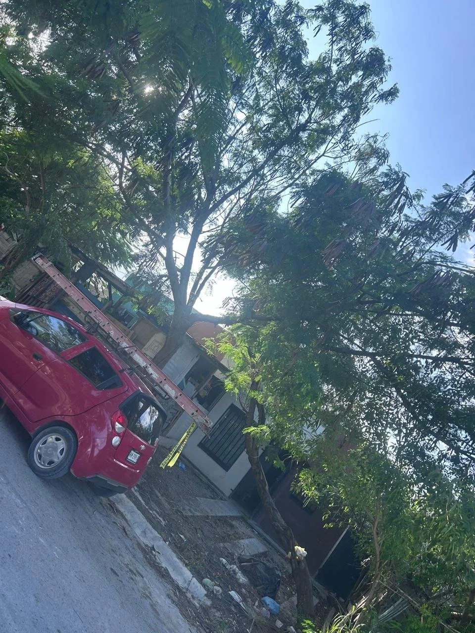 WhatsApp Image 2026-03-11 at 11.20.25 (1).jpeg