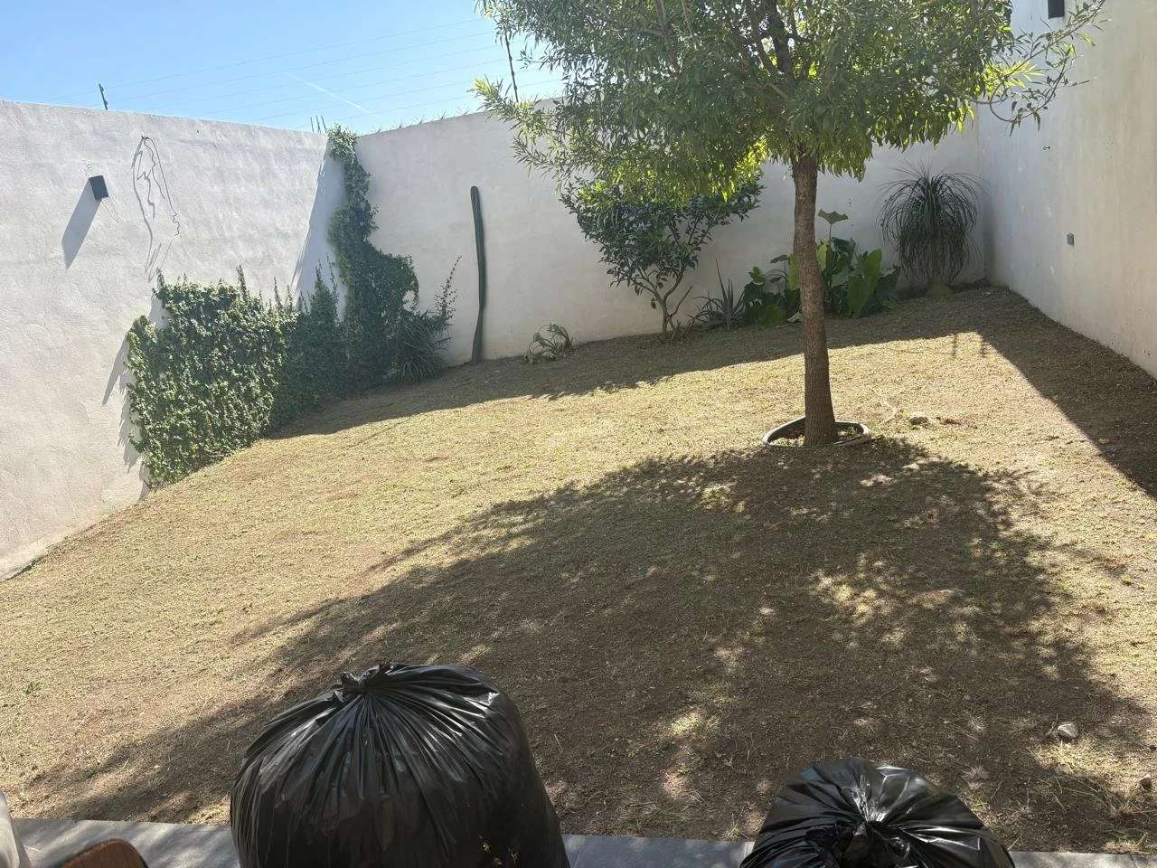 WhatsApp Image 2026-03-11 at 11.20.25 (11).jpeg