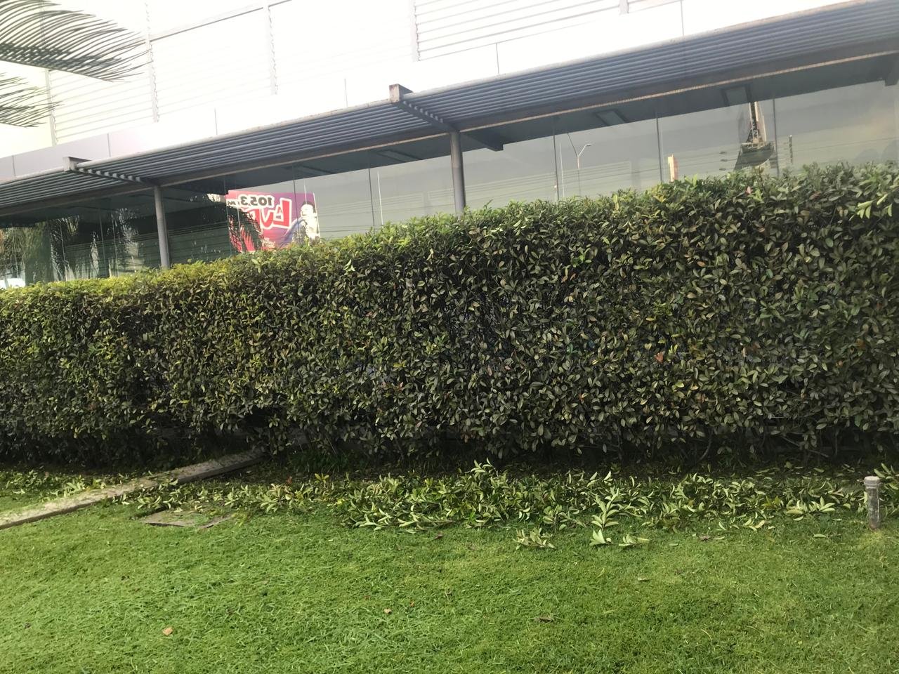 WhatsApp Image 2026-03-11 at 11.20.24 (1).jpeg