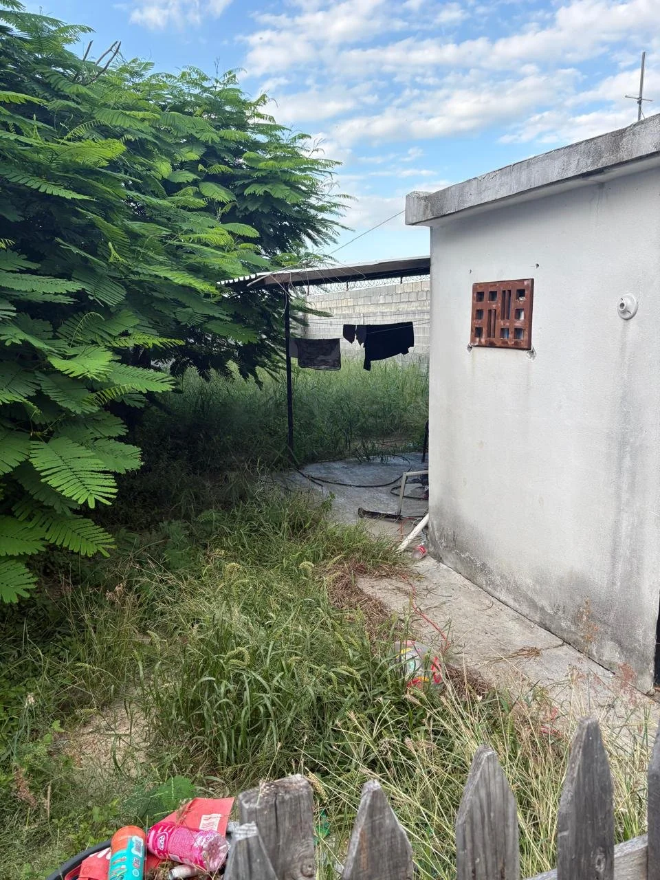 WhatsApp Image 2026-03-11 at 11.20.25 (7).jpeg