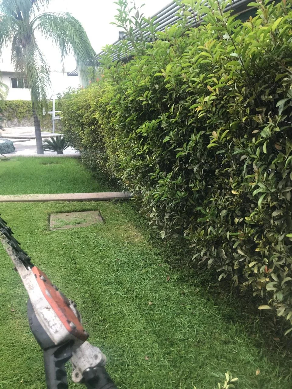 WhatsApp Image 2026-03-11 at 11.20.21.jpeg