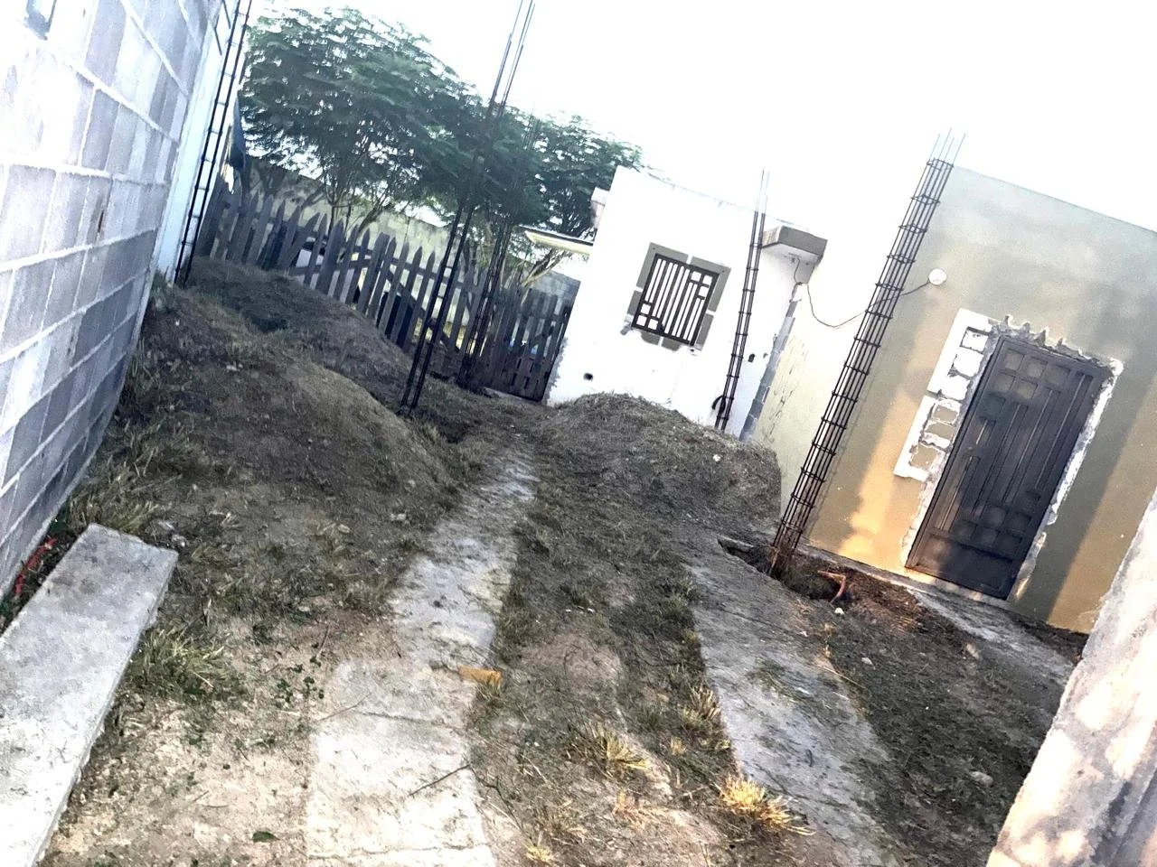 WhatsApp Image 2026-03-11 at 11.20.25 (9).jpeg