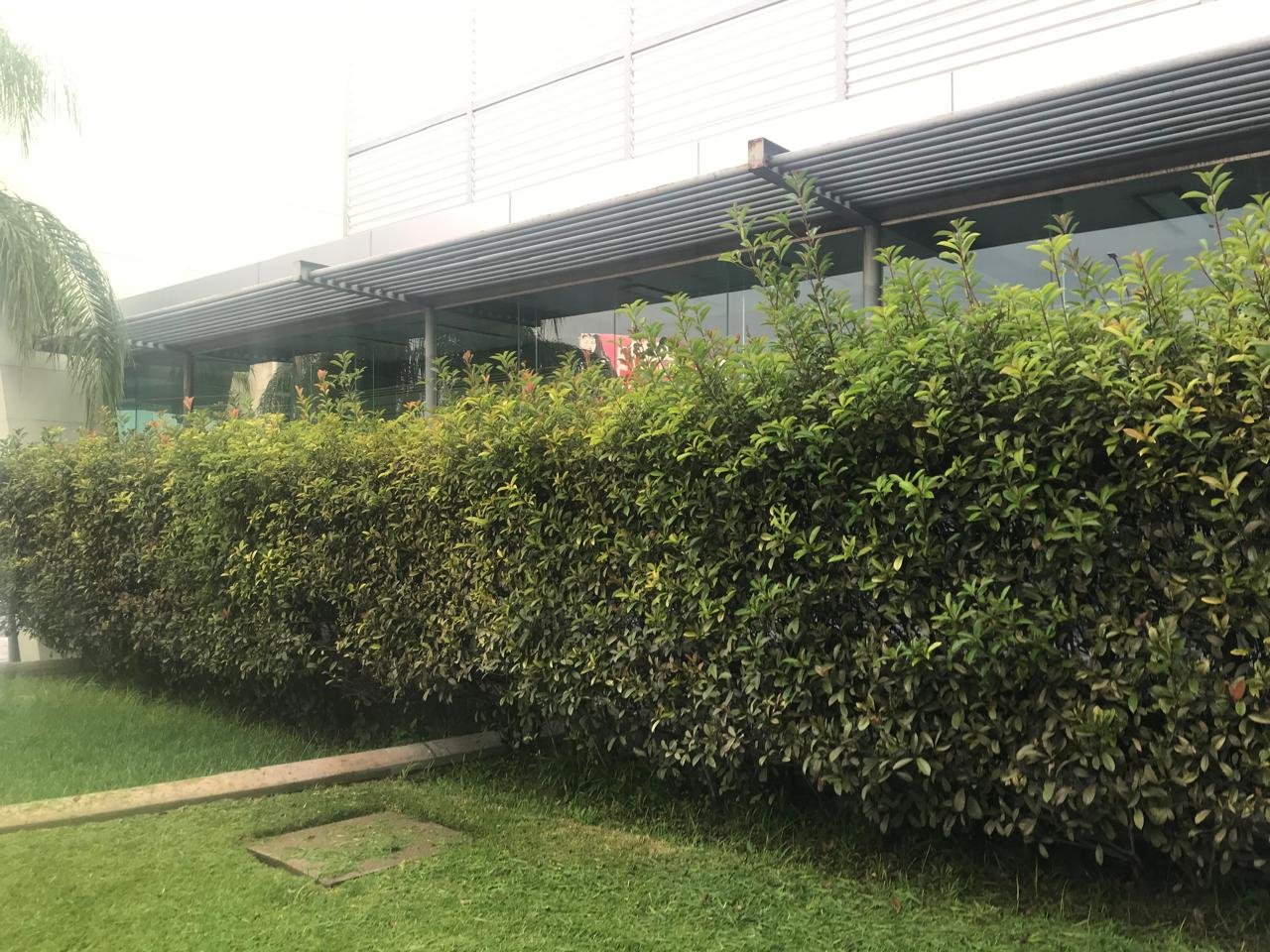 WhatsApp Image 2026-03-11 at 11.20.24.jpeg