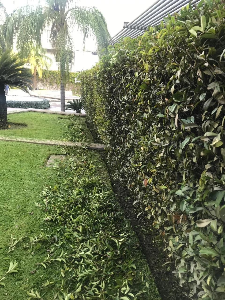 WhatsApp Image 2026-03-11 at 11.20.24 (2).jpeg