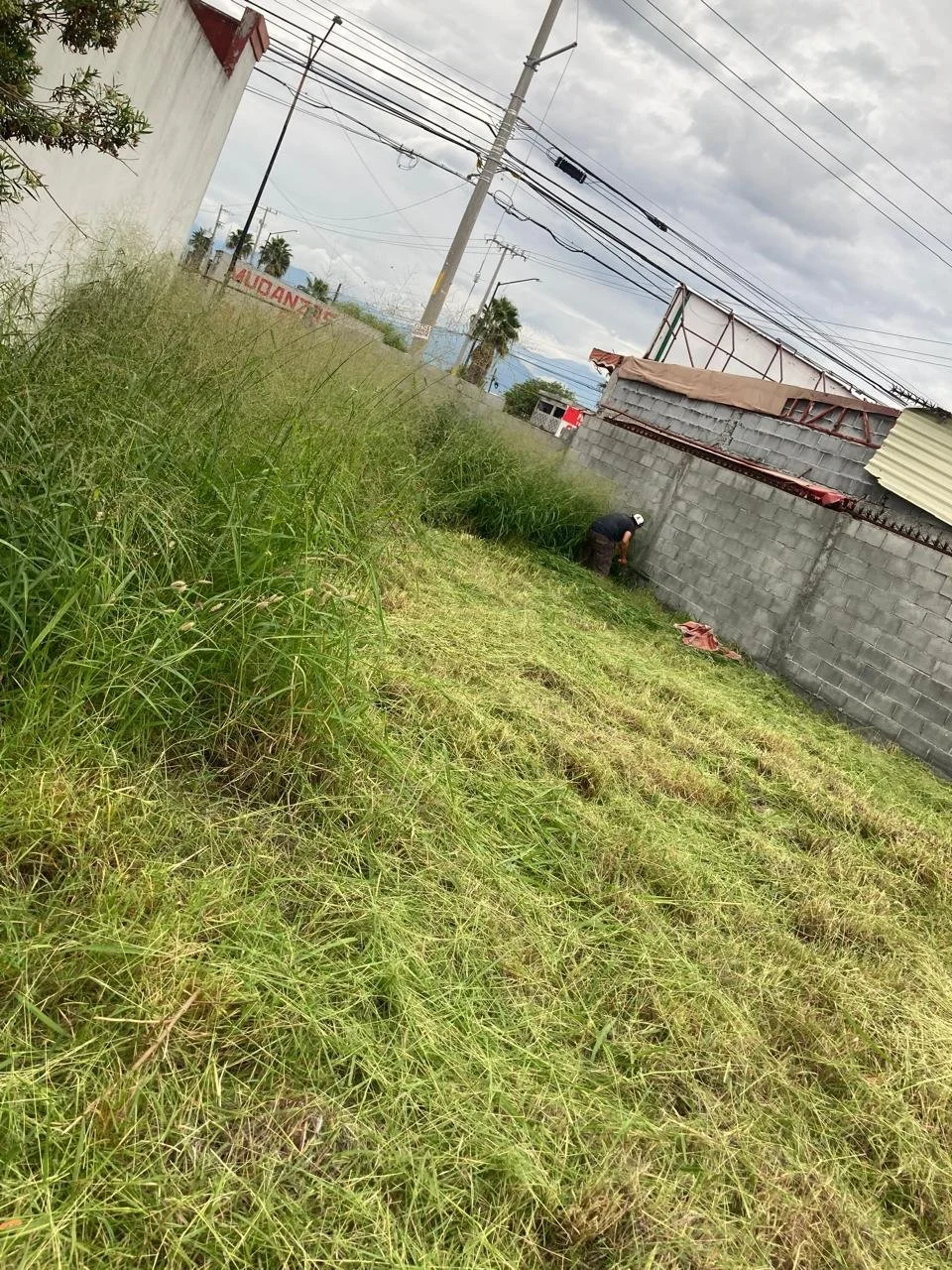 WhatsApp Image 2026-03-11 at 11.20.24 (3).jpeg