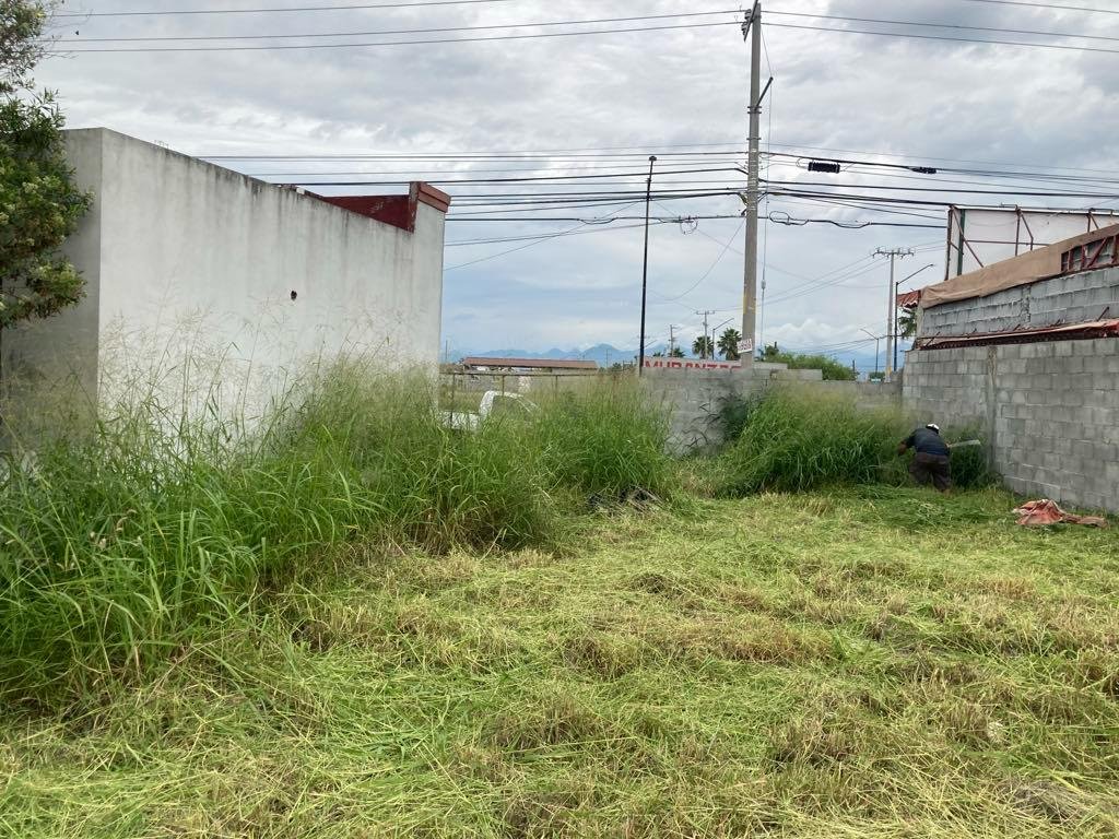 WhatsApp Image 2026-03-11 at 11.20.25 (4).jpeg