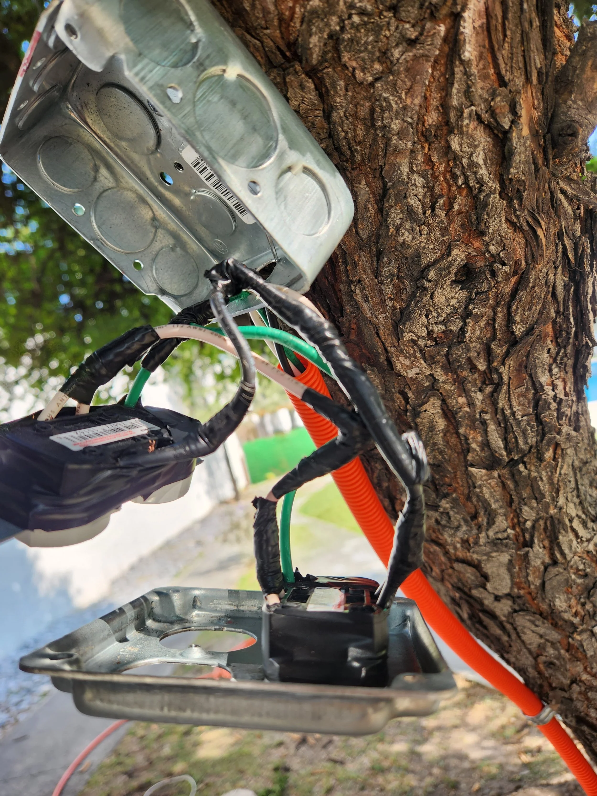 WhatsApp Image 2025-12-29 at 09.46.10.jpeg