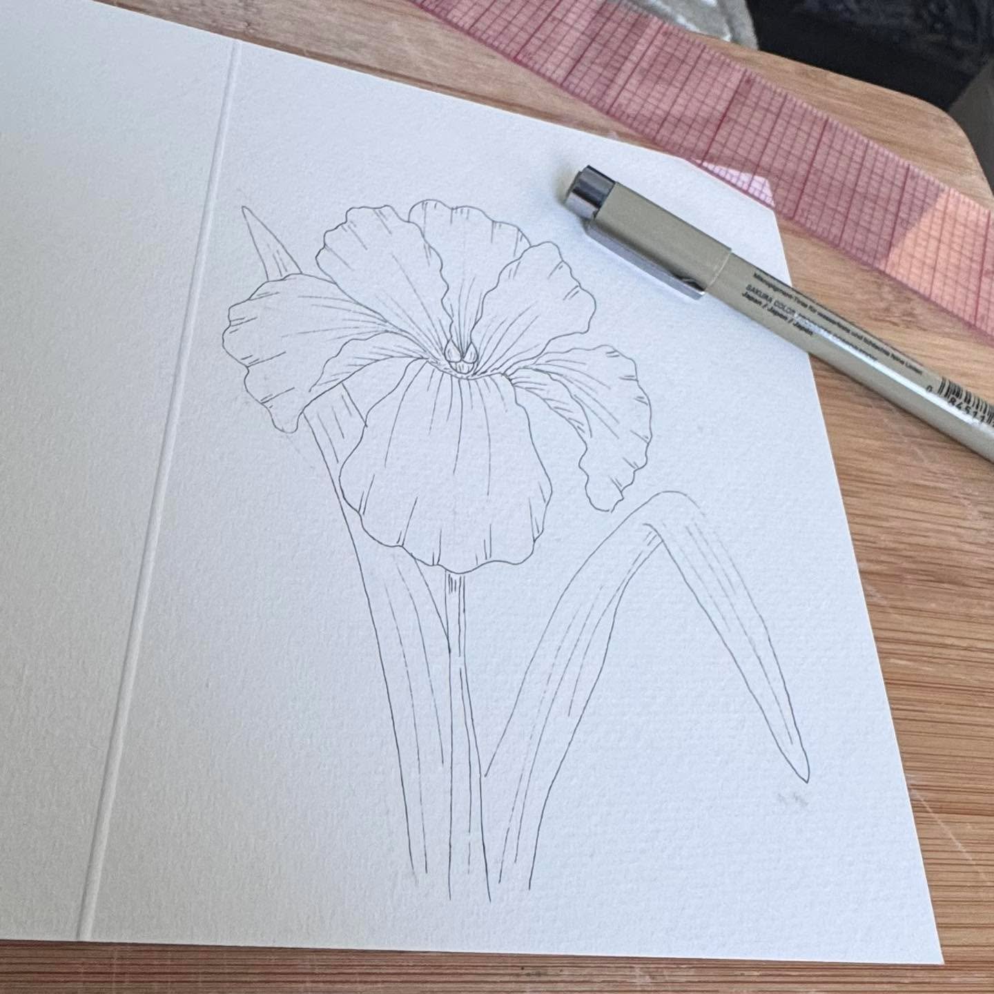 A little peek at what I&rsquo;ve been sketching lately&hellip; 🌼

Paint-your-own watercolor cards are sprouting for spring paint nights and a garden-themed evening coming soon.

Gentle lines. Plenty of breathing room. Tea-friendly painting.

Tell me