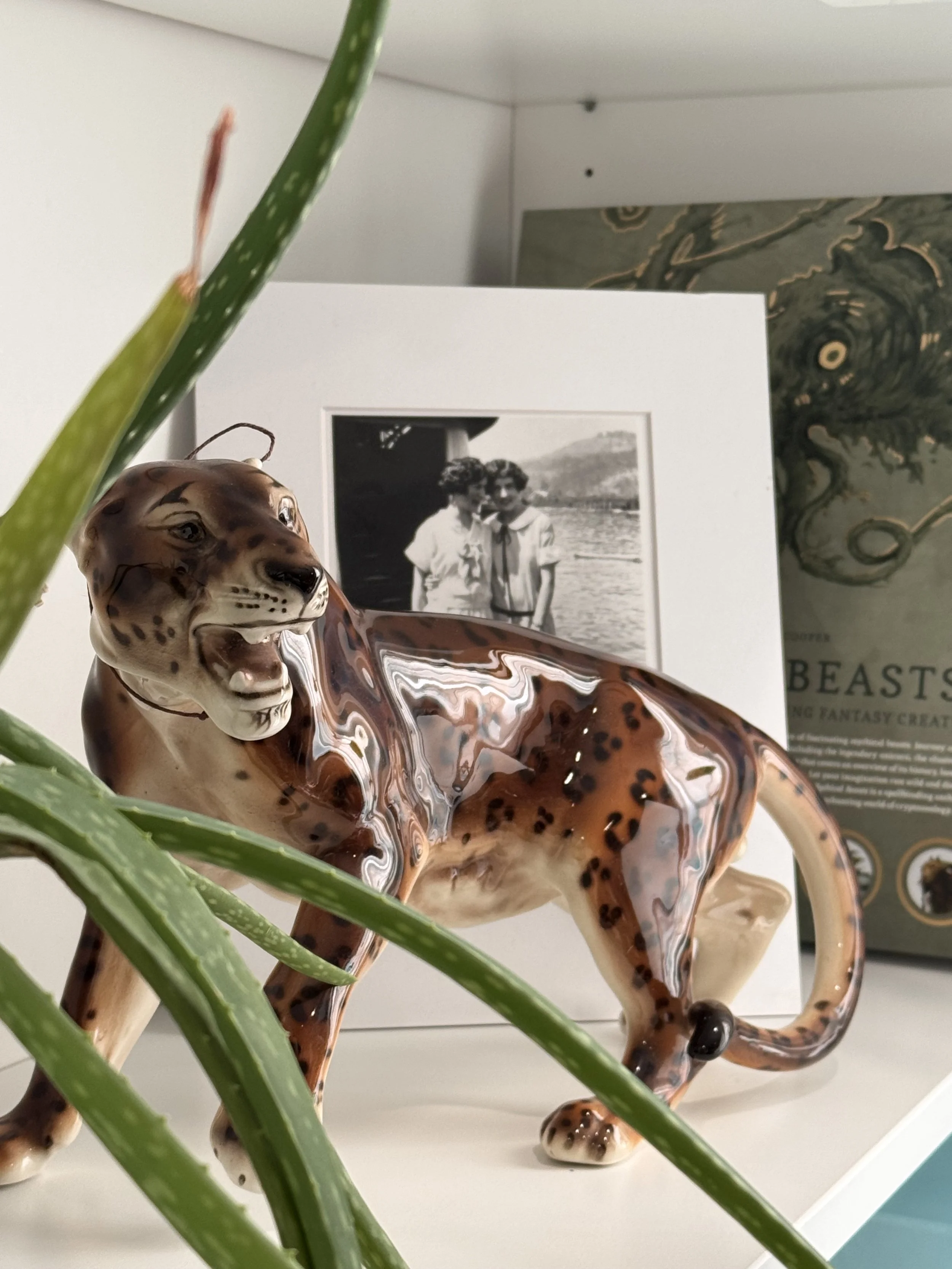 A cermaic leopard peeking between aloe leaves, black and white photo in the background.