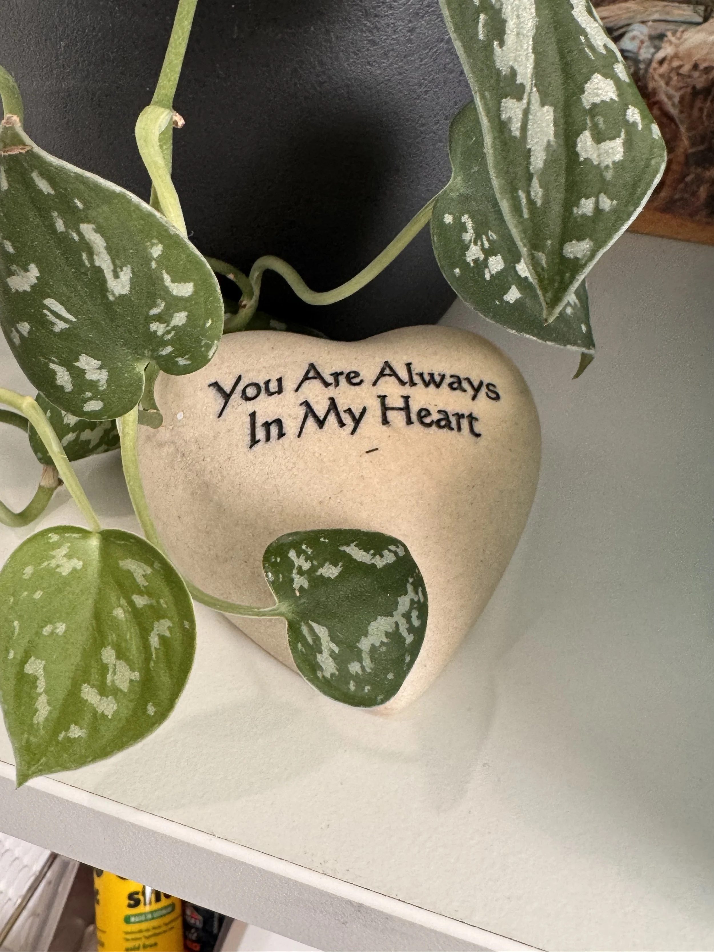 A heart paper weight that says "you are always in my heart" surrounded by green plant leaves.