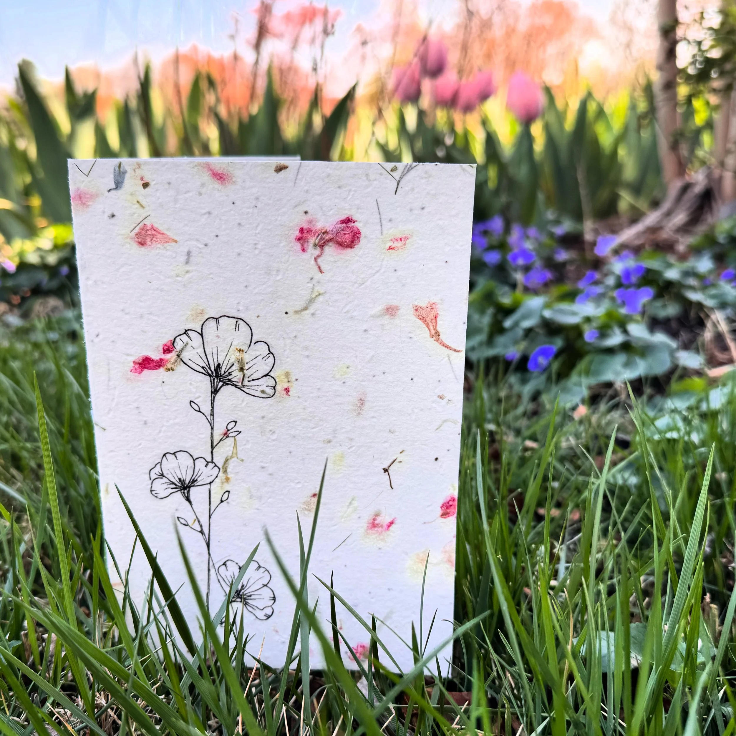 seed paper card with line art sitting in a garden