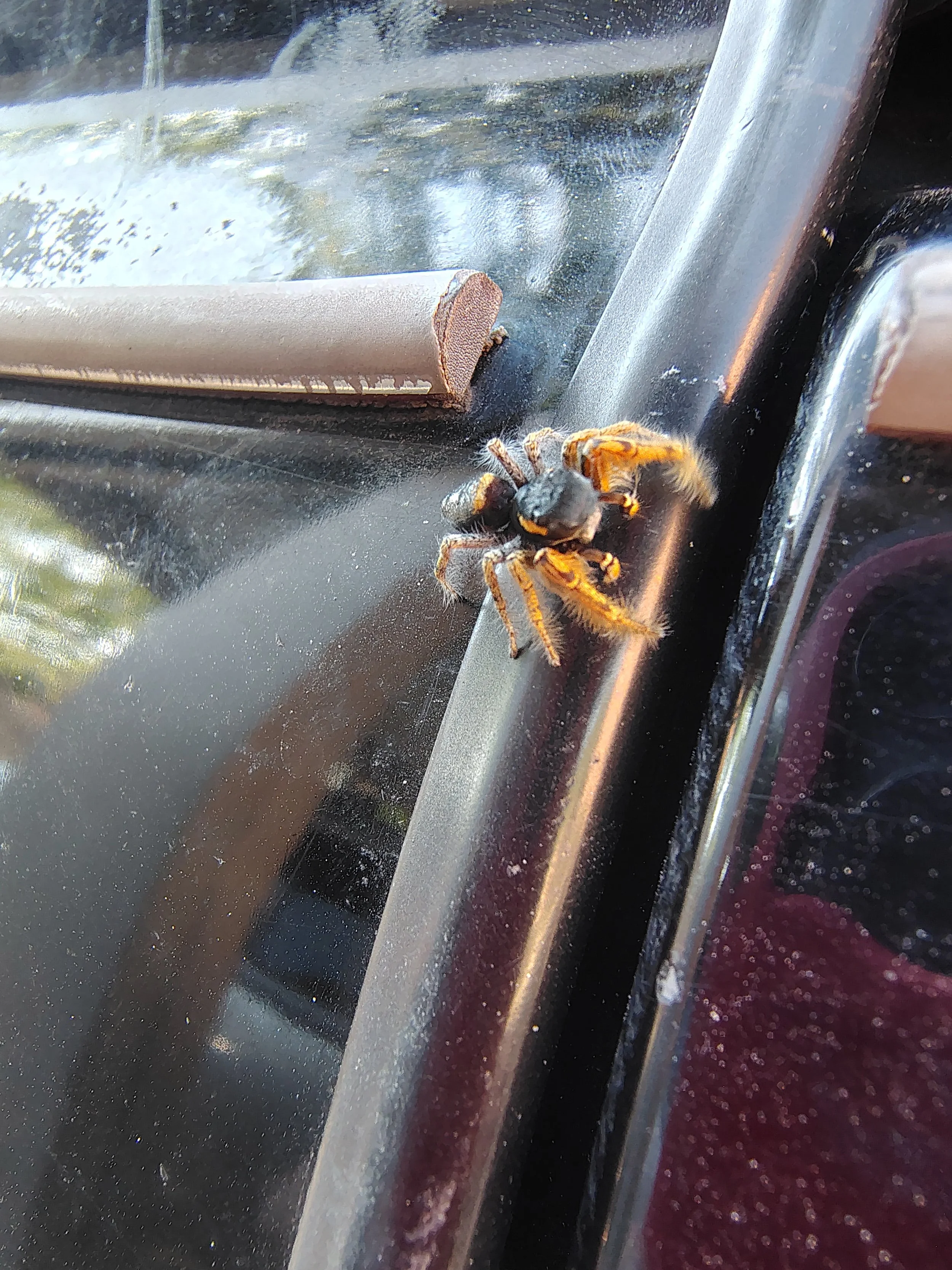 Hermes - The Adventurous