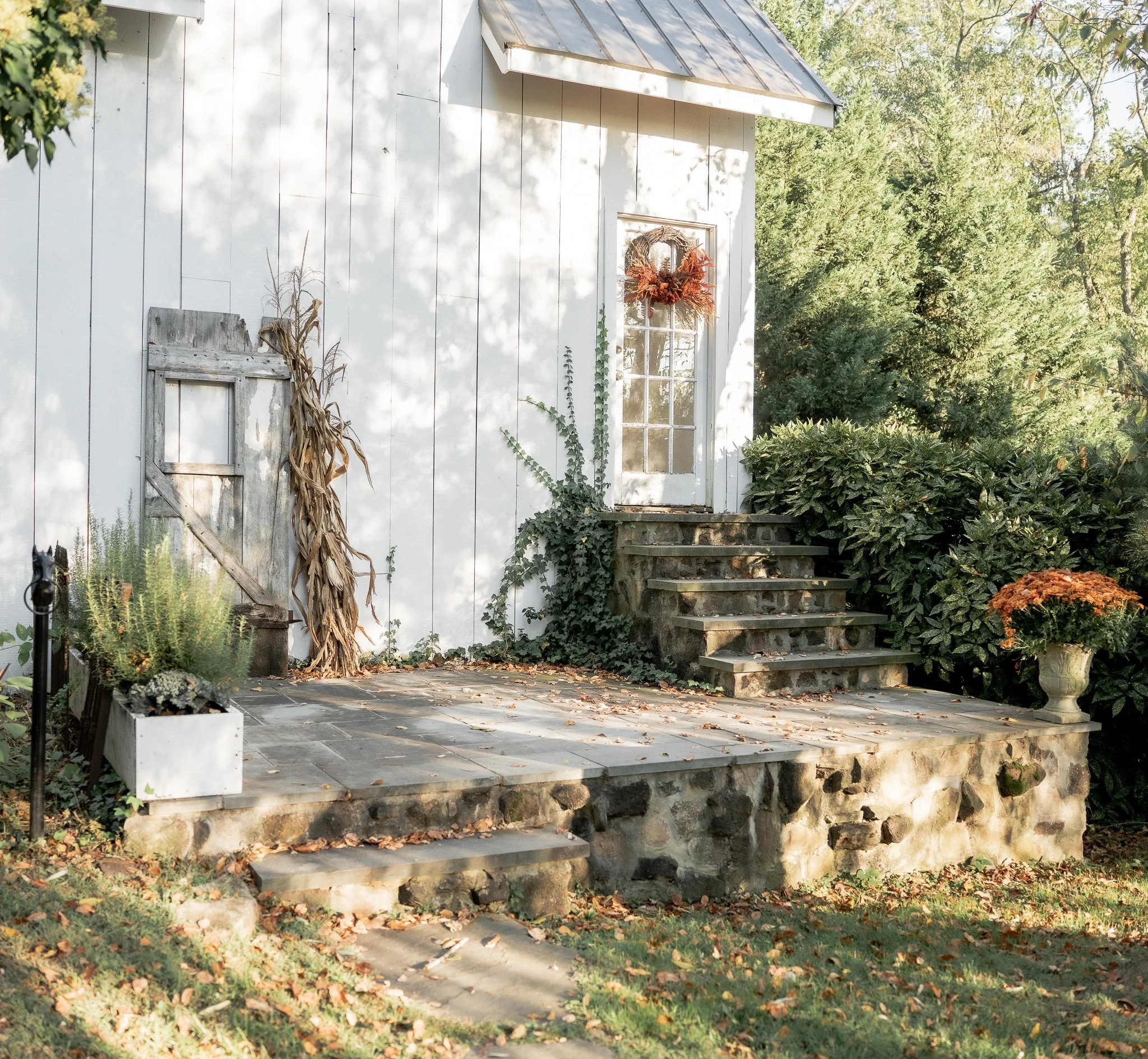 Preview Access (Photographers Only)