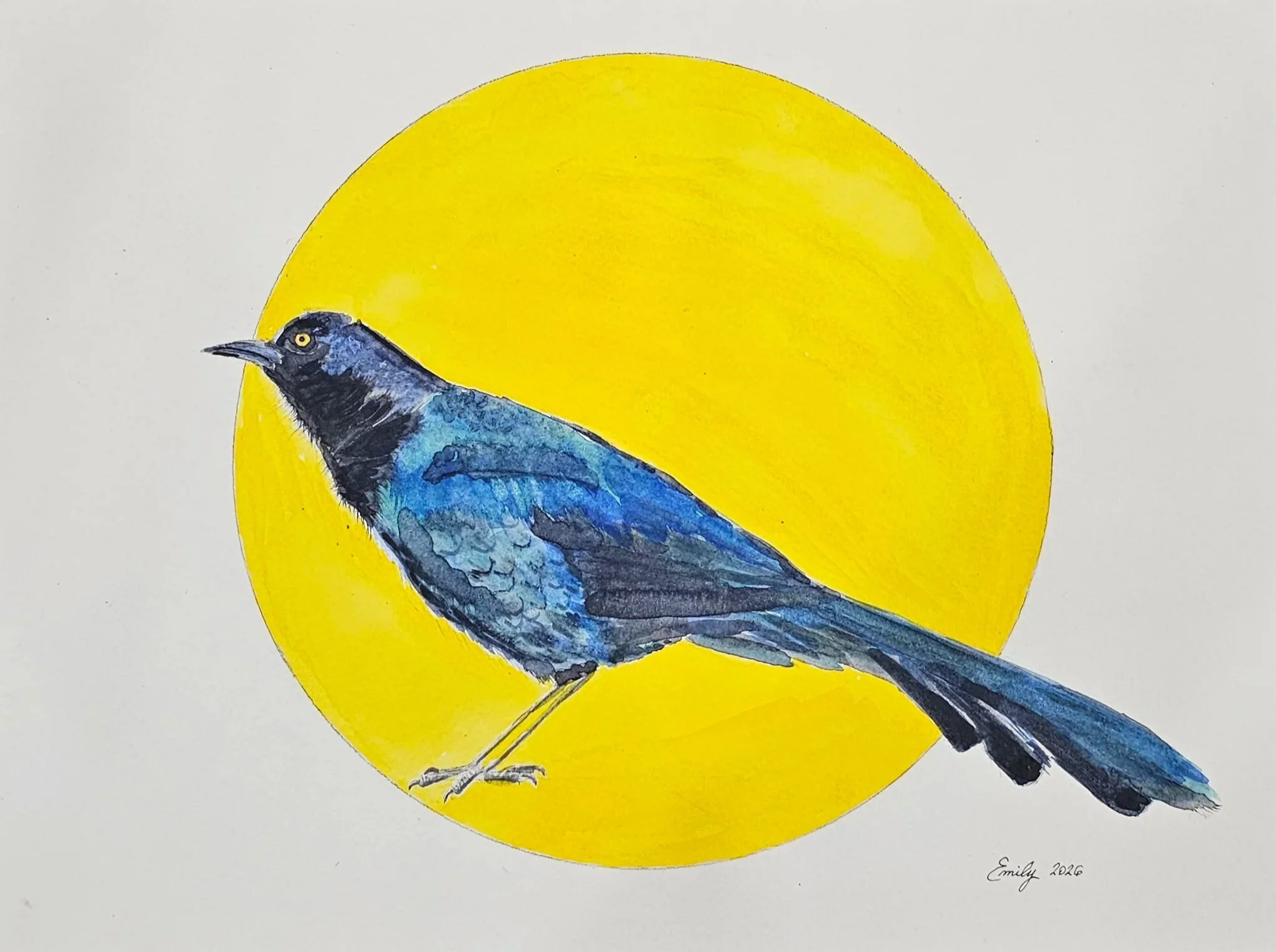 Grackle - Fair Weather Friend