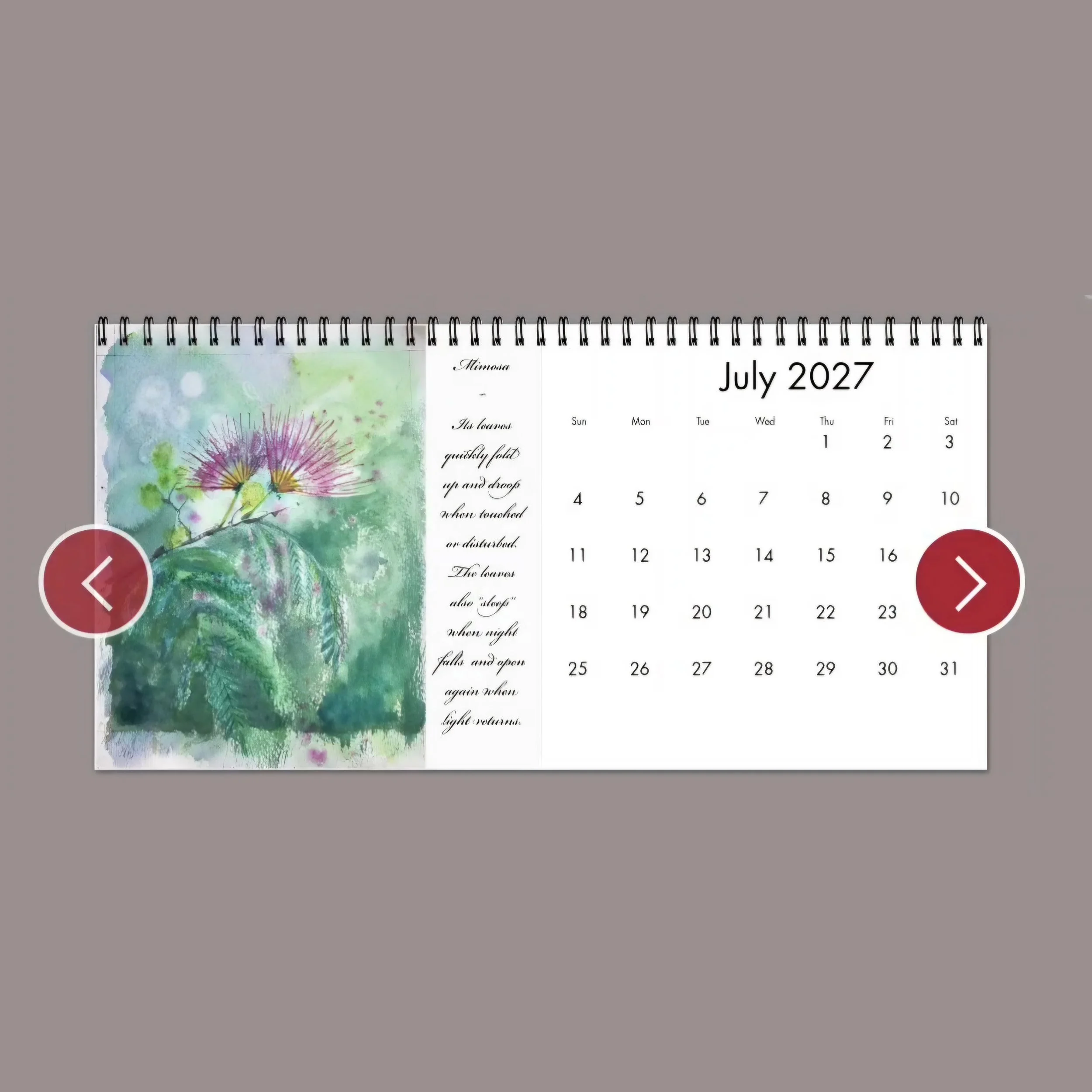 2027 calendar inside 2.jpg
