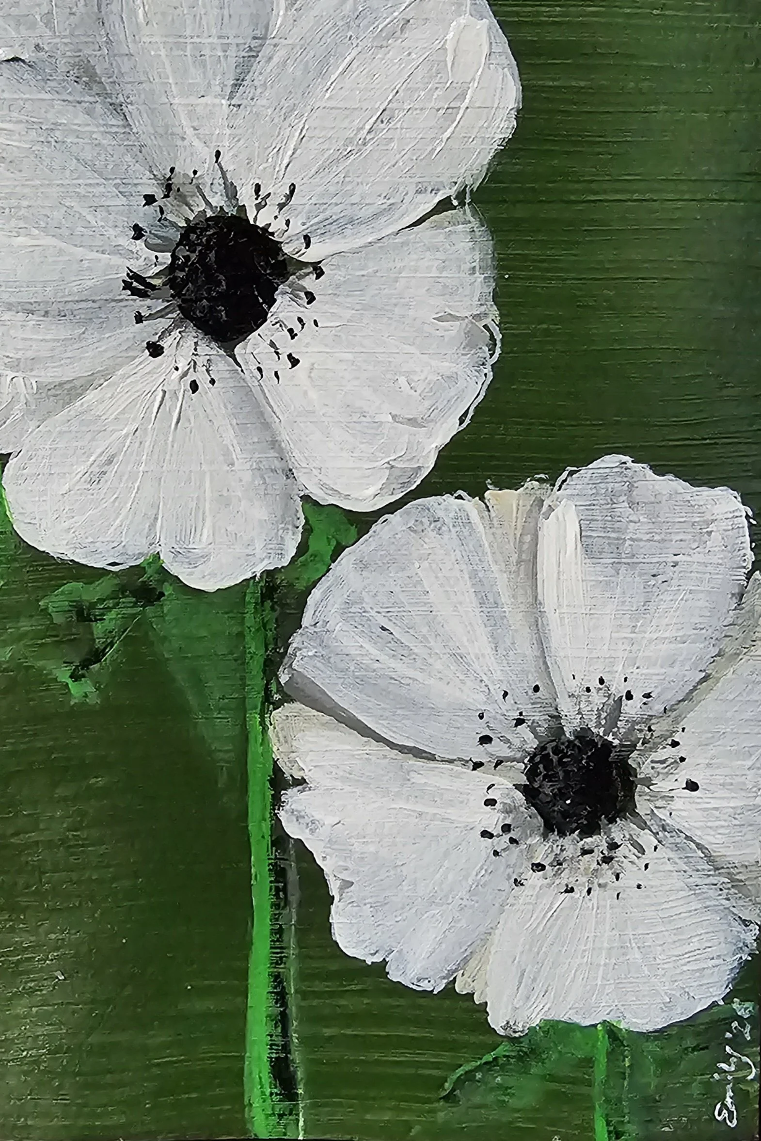 Anemones