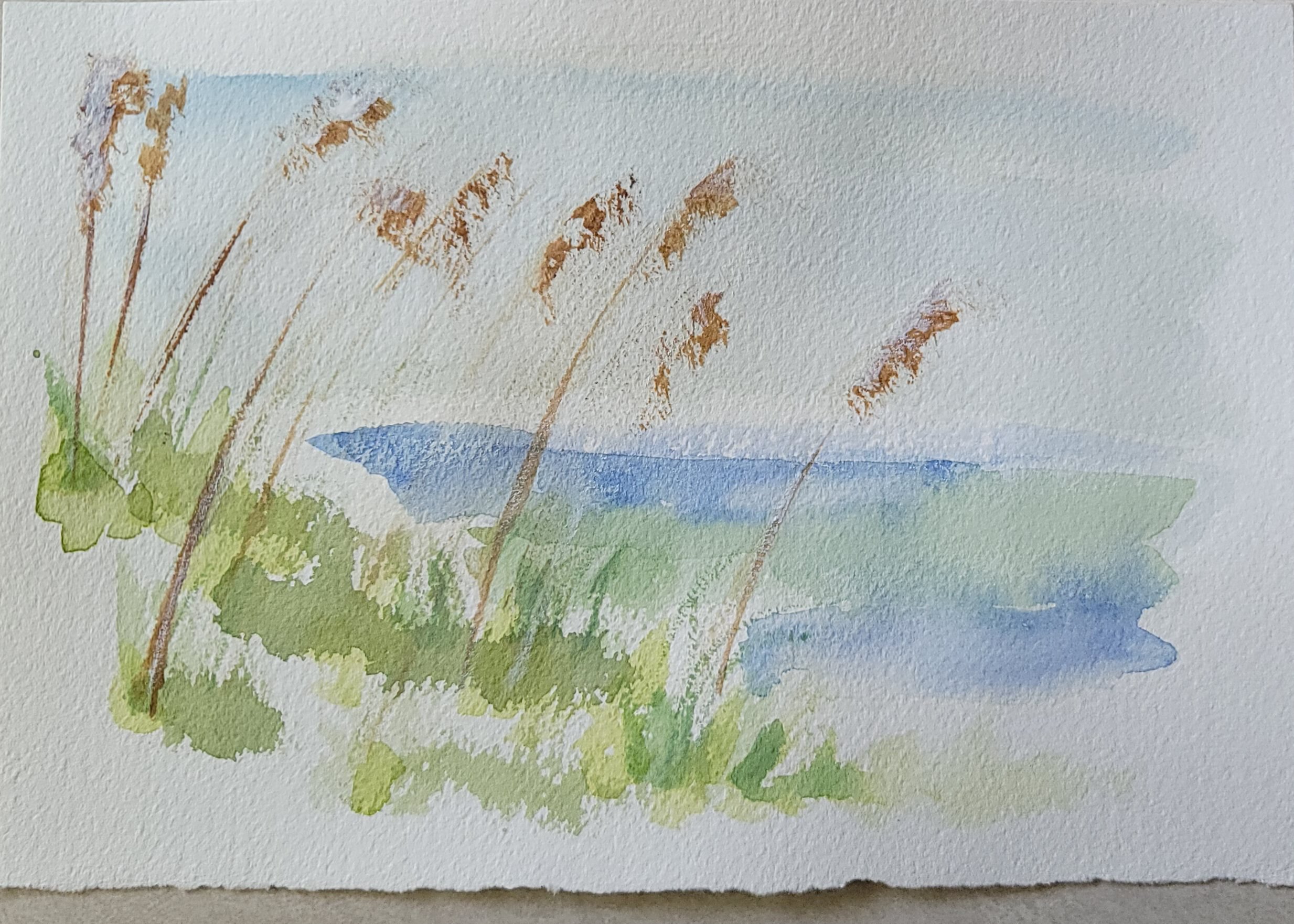 Sea Oats
