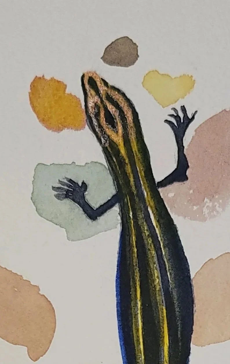 Blue%2Btailed%2Bskink.jpg