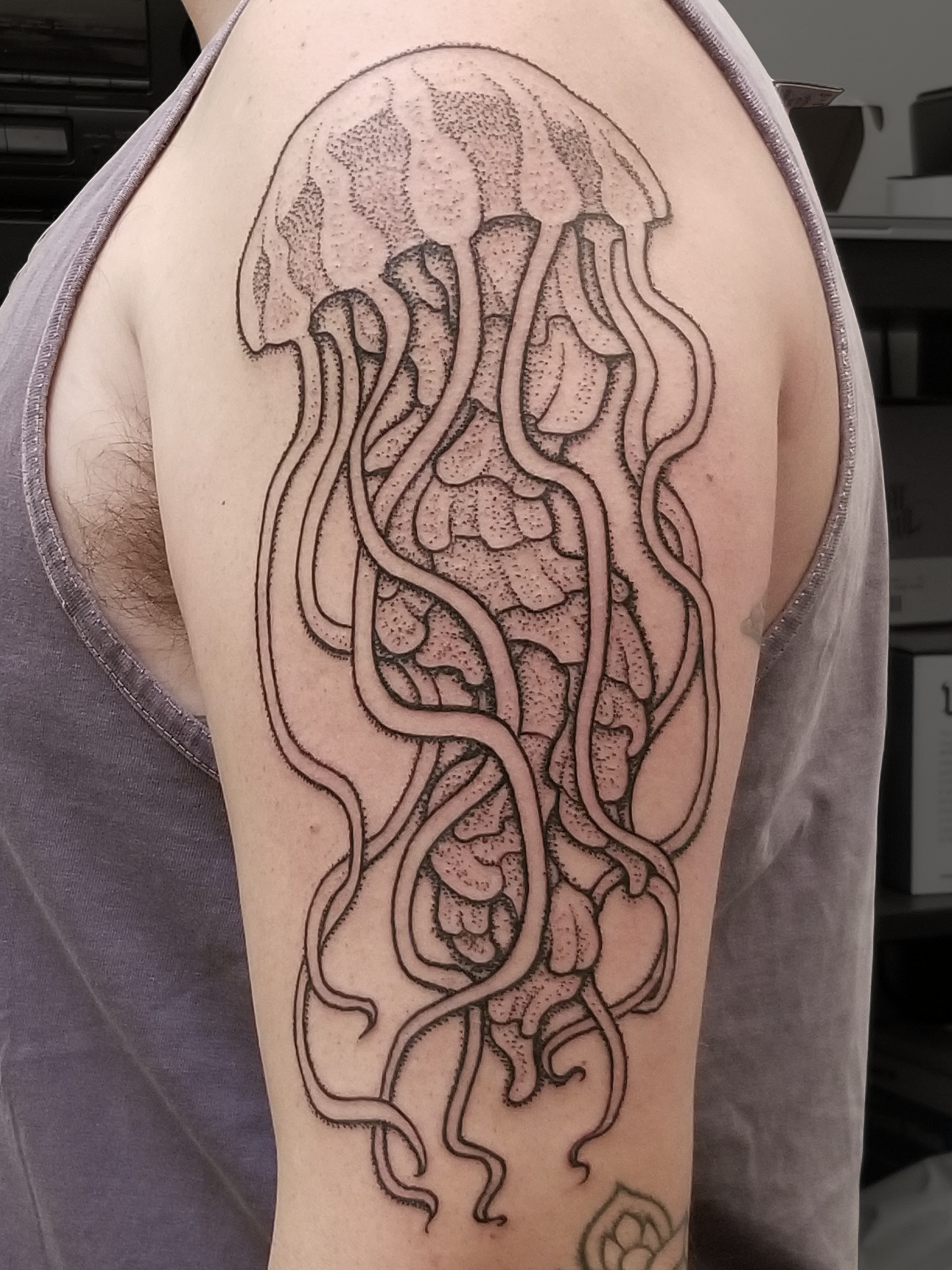 matheas arm jelly copy.png