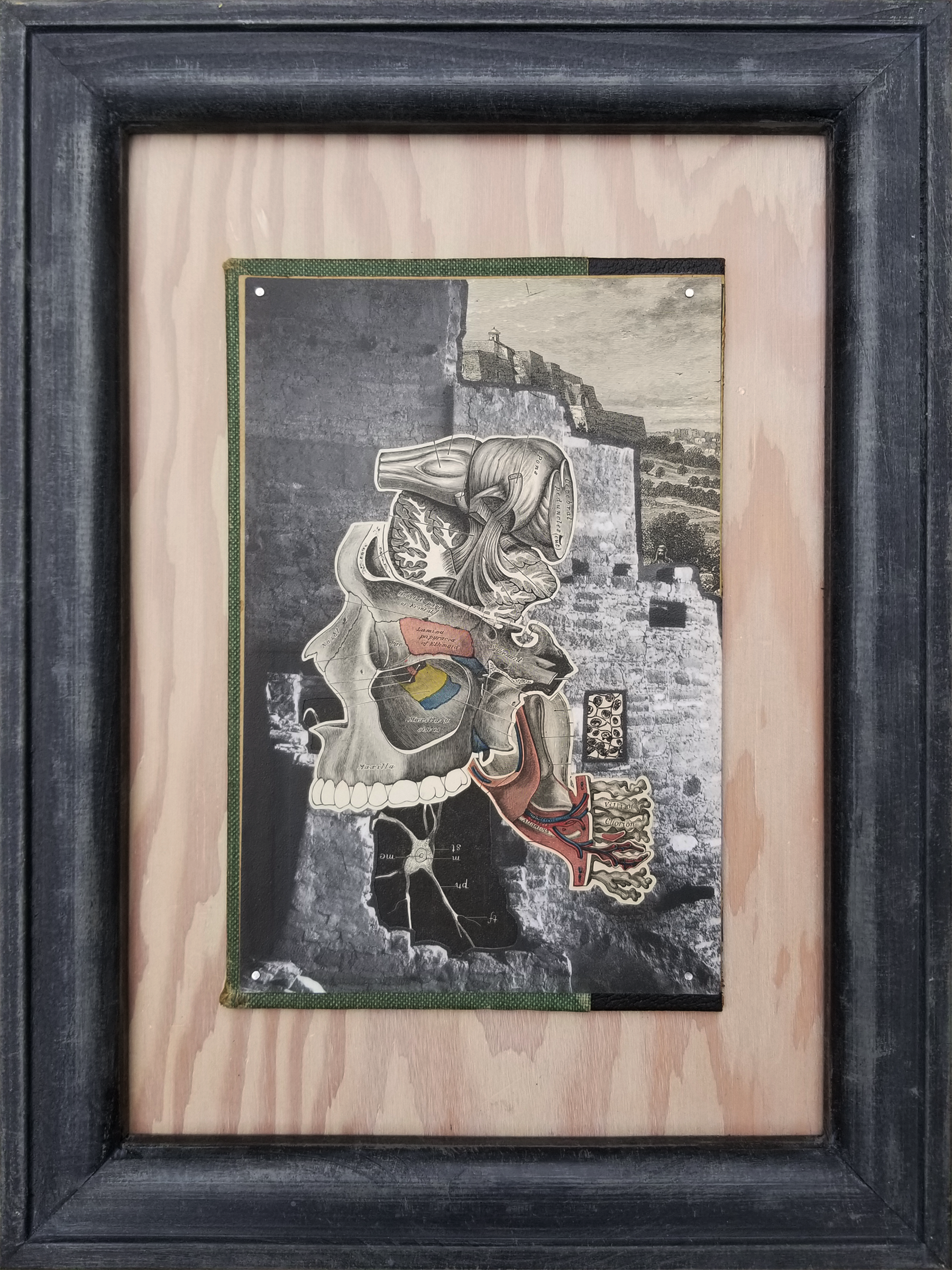   Skwiggle Cannon  , 2026 
Collage on Board 
12" x 16" 
300-