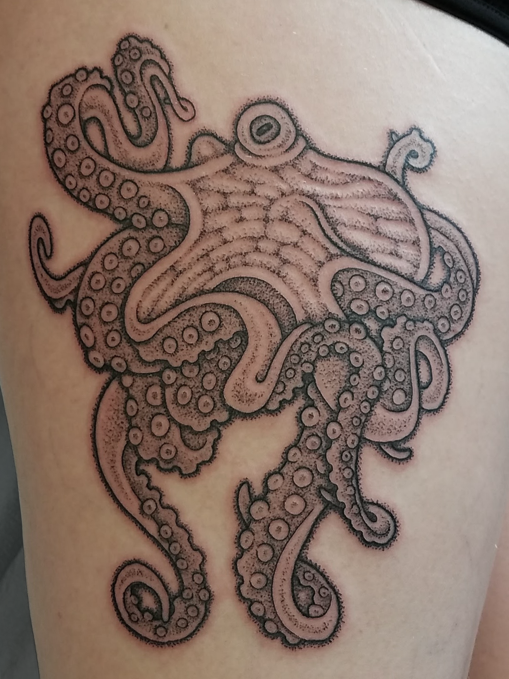 dude thigh octopus copy.png
