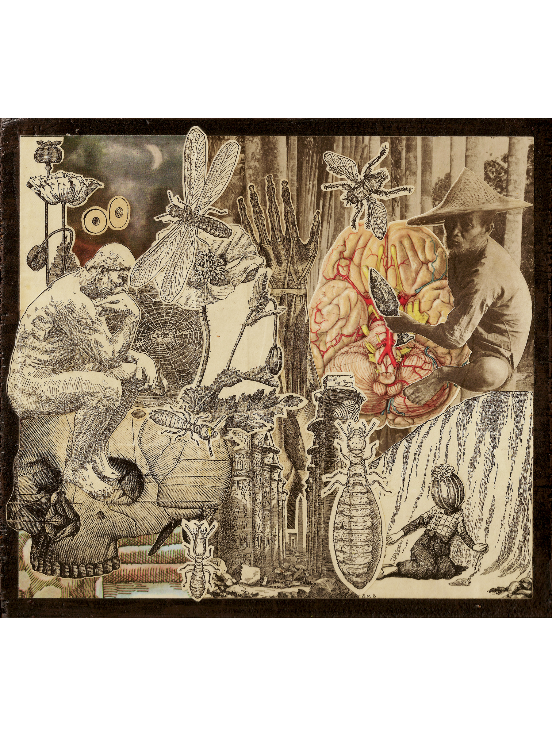   Brainworm  , 2019 
Collage on Found Board 
8" x 7" 
180-