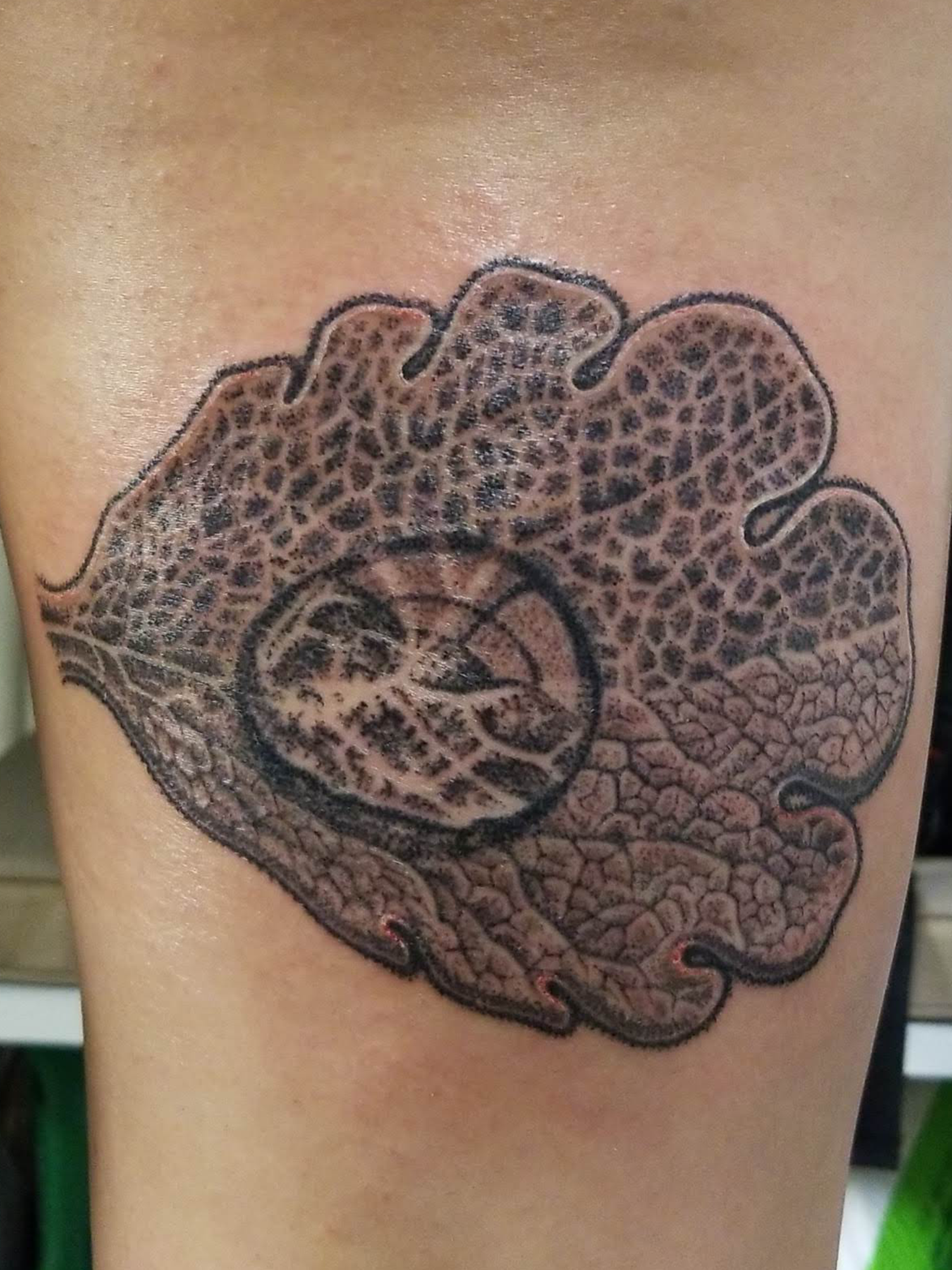 teacher thigh escher.png