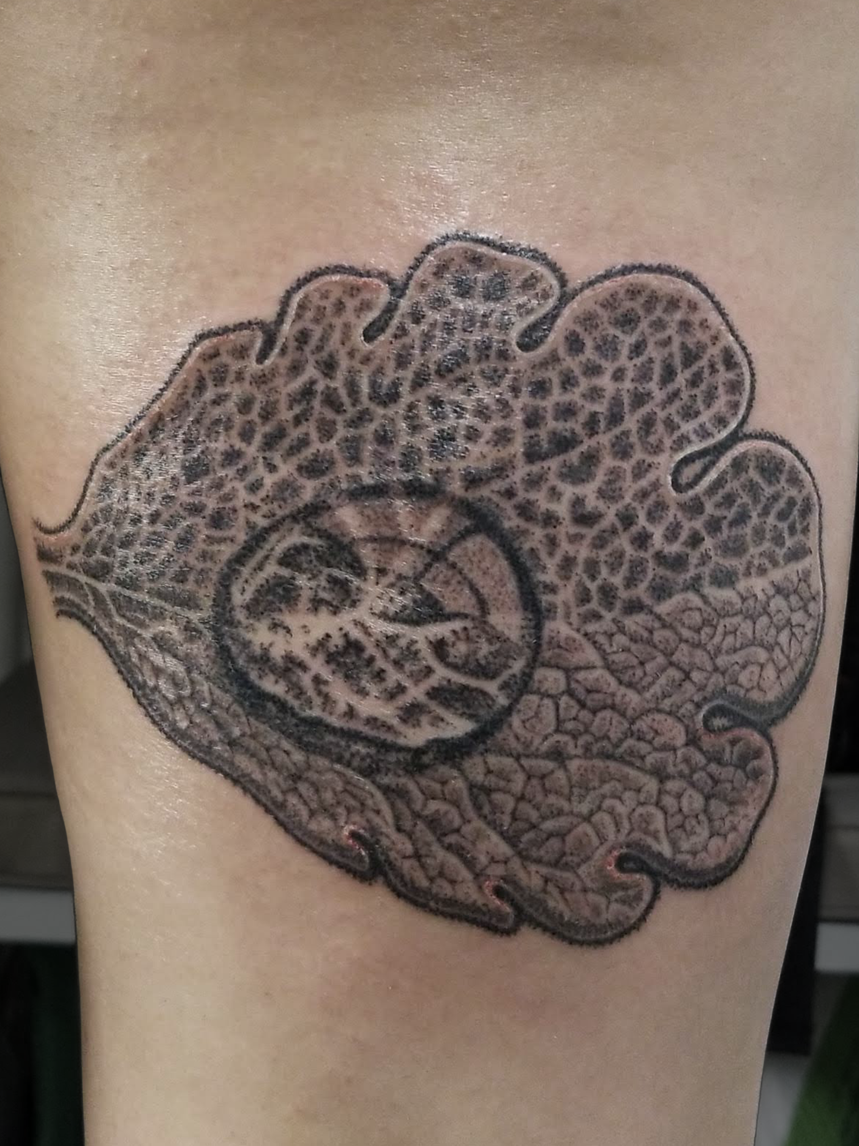 teacher thigh escher copy.png