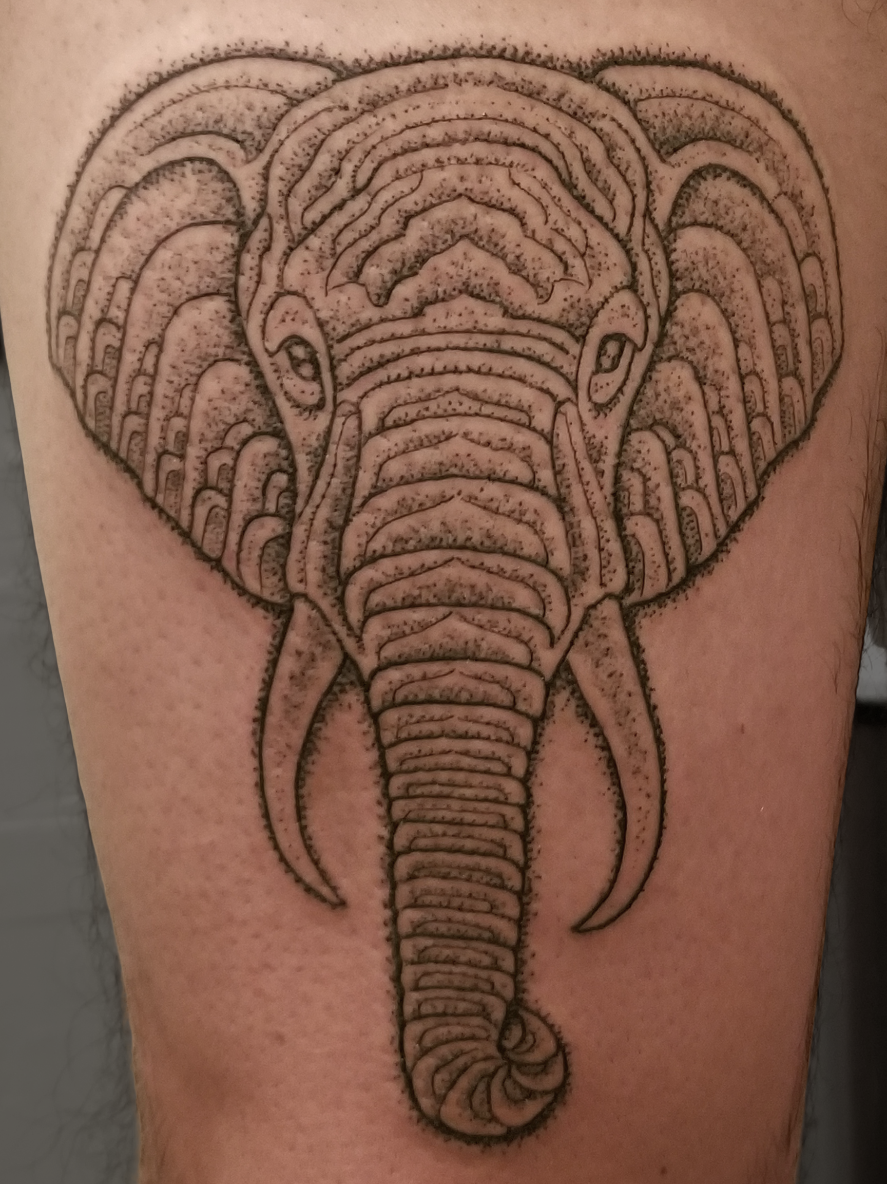 david gee leg copy.png