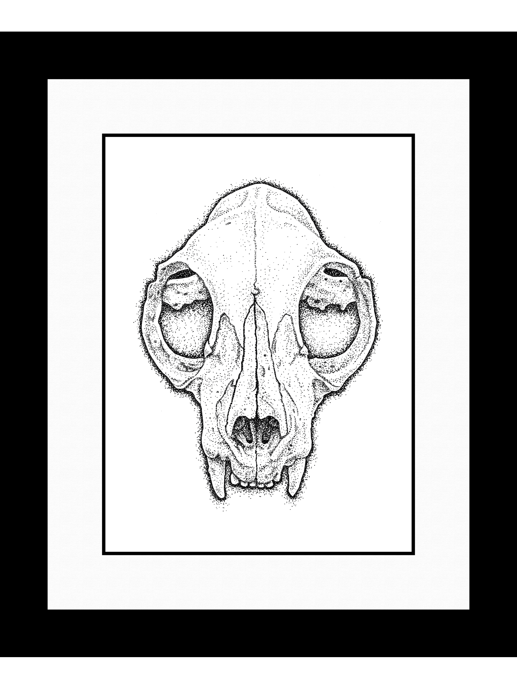   Found Skull III   (cat), 2016 
Ink on Bristol Board 
9" x 11" (framed) 
Sold