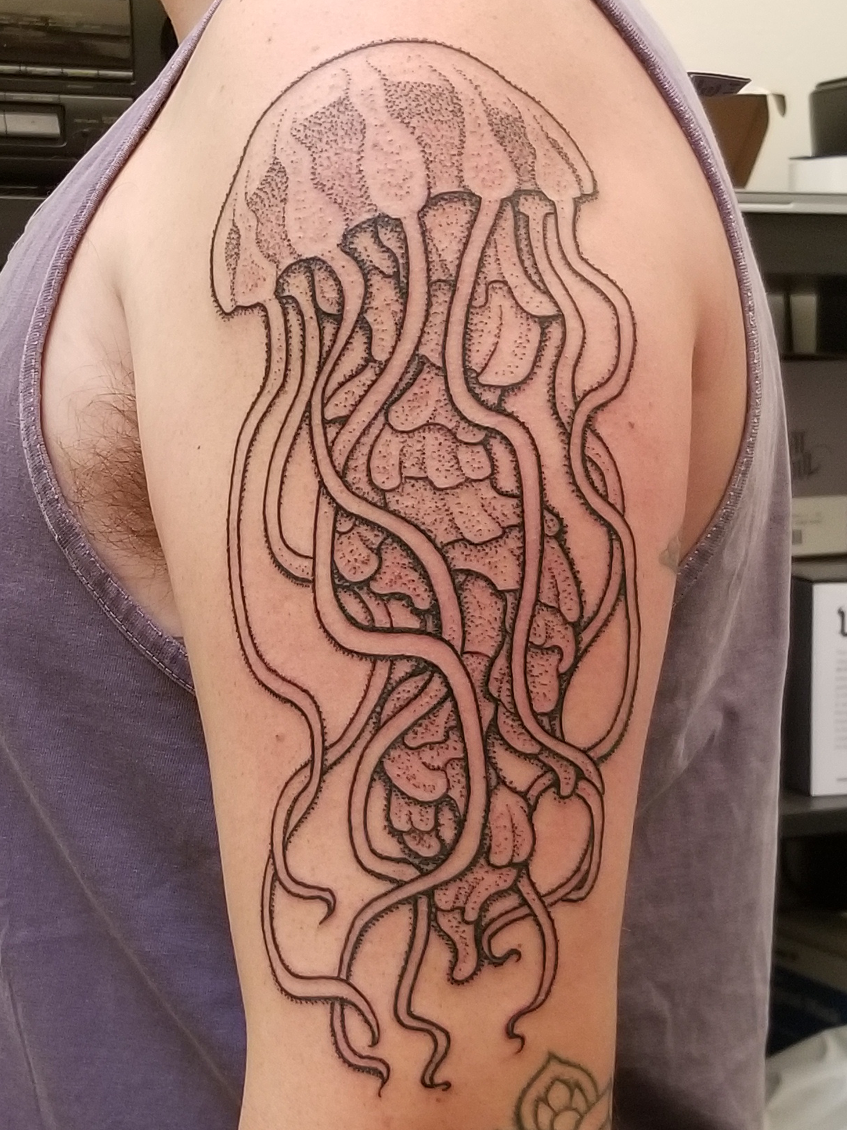 matheas arm jelly.png