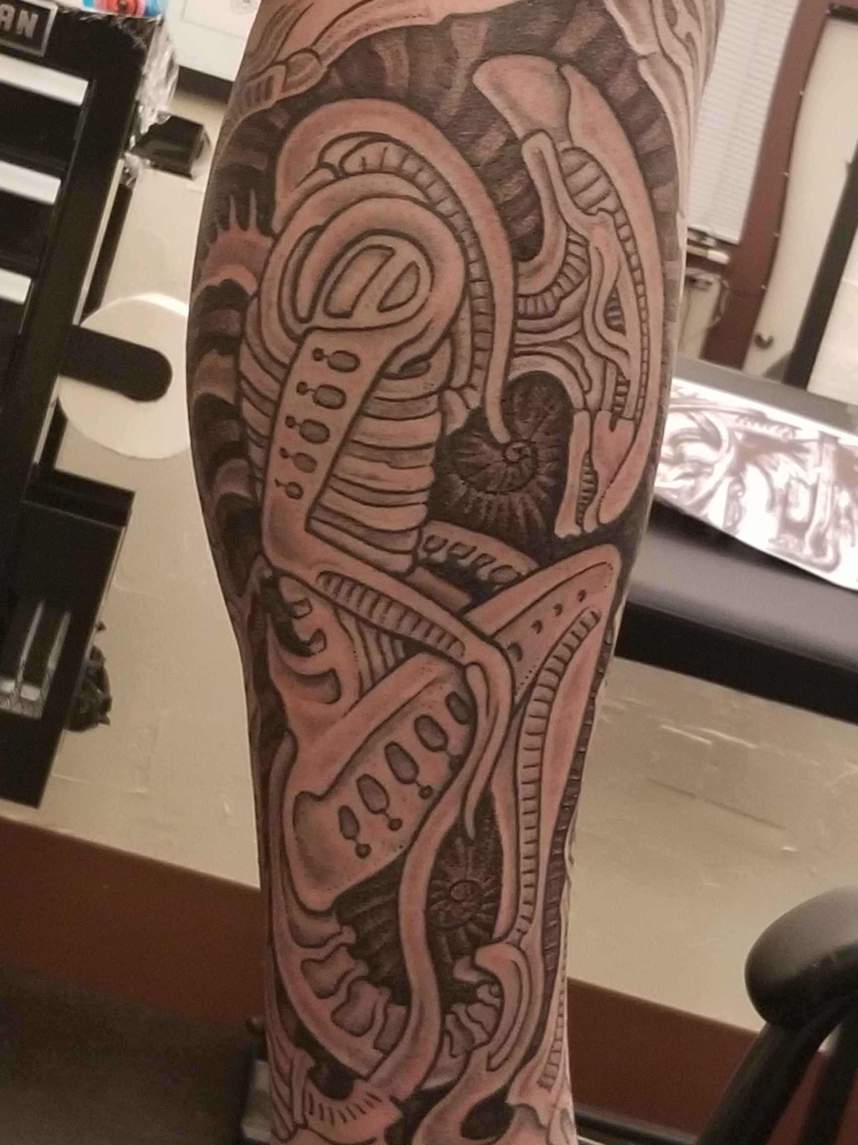 joel leg ectomorph.png