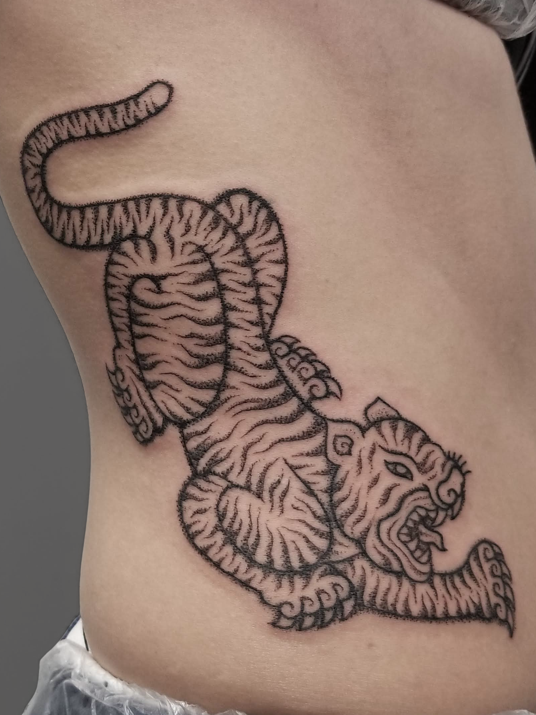 michele side tiger copy.png