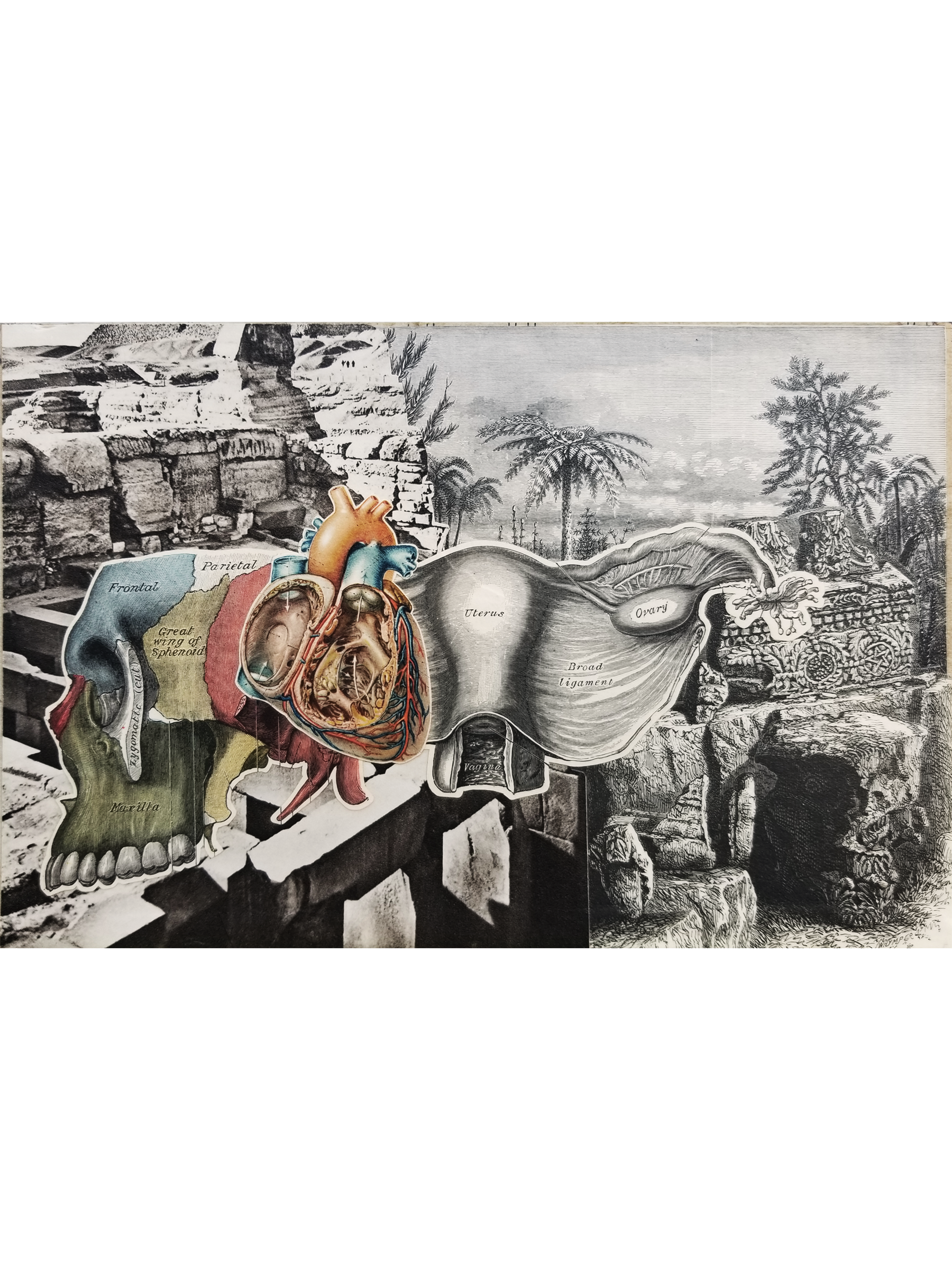   TEQfGP  , 2026 
Collage on Board 
9" x 6" 
125-