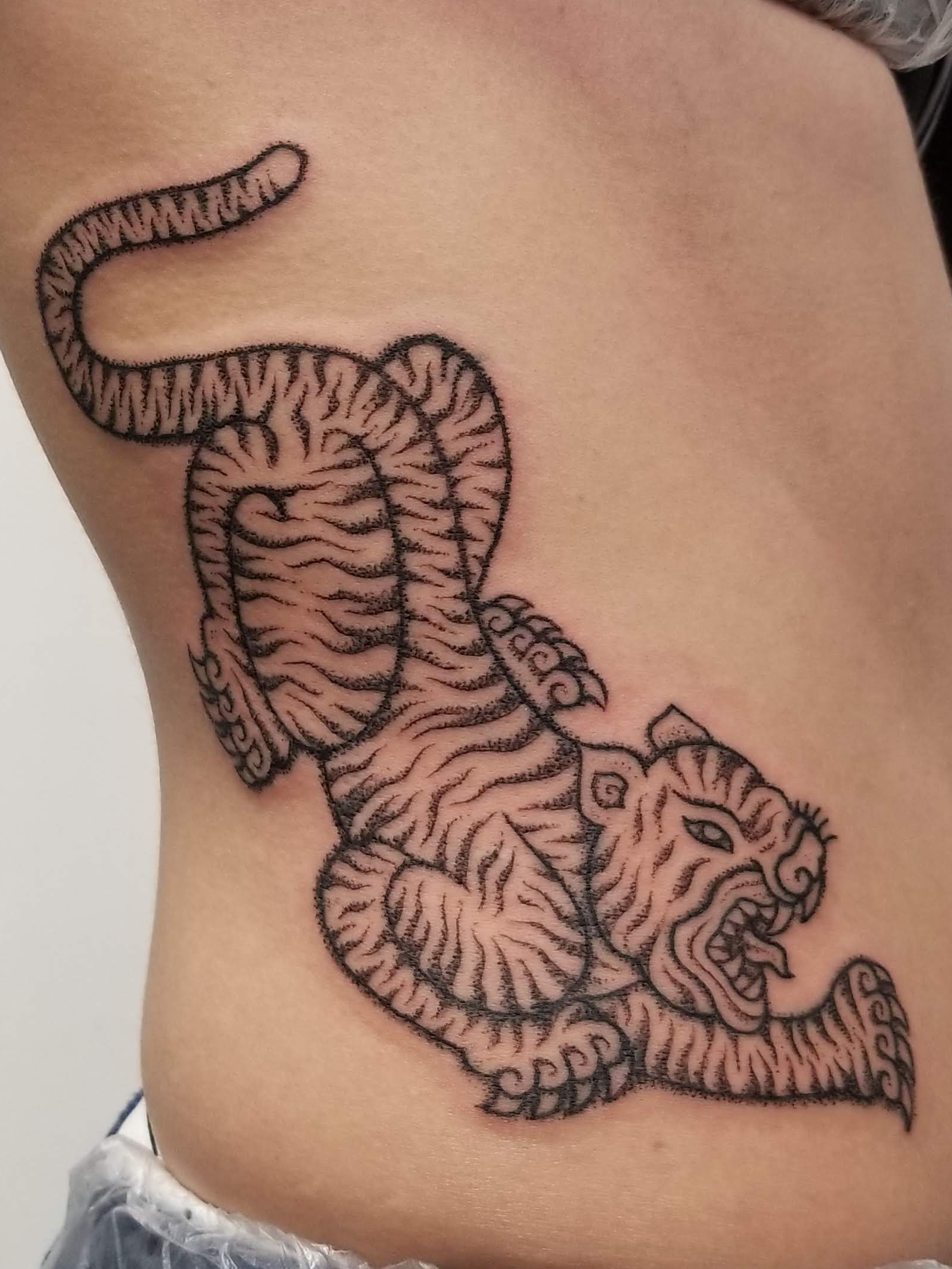 michele side tiger.png