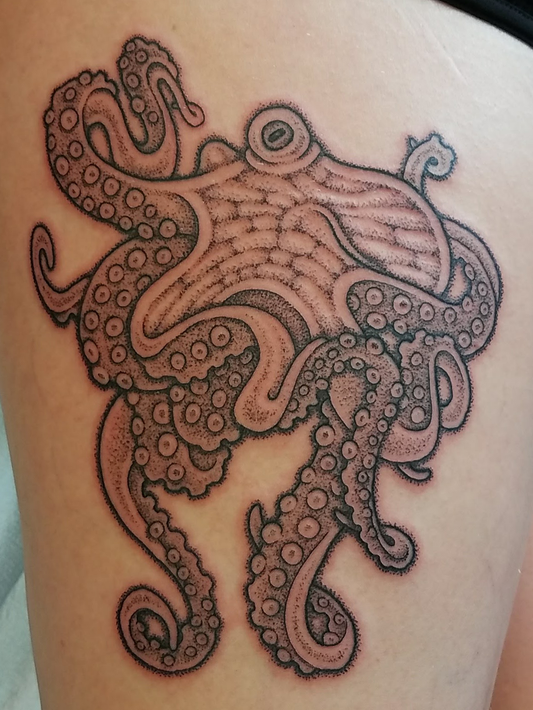 dude thigh octopus.png